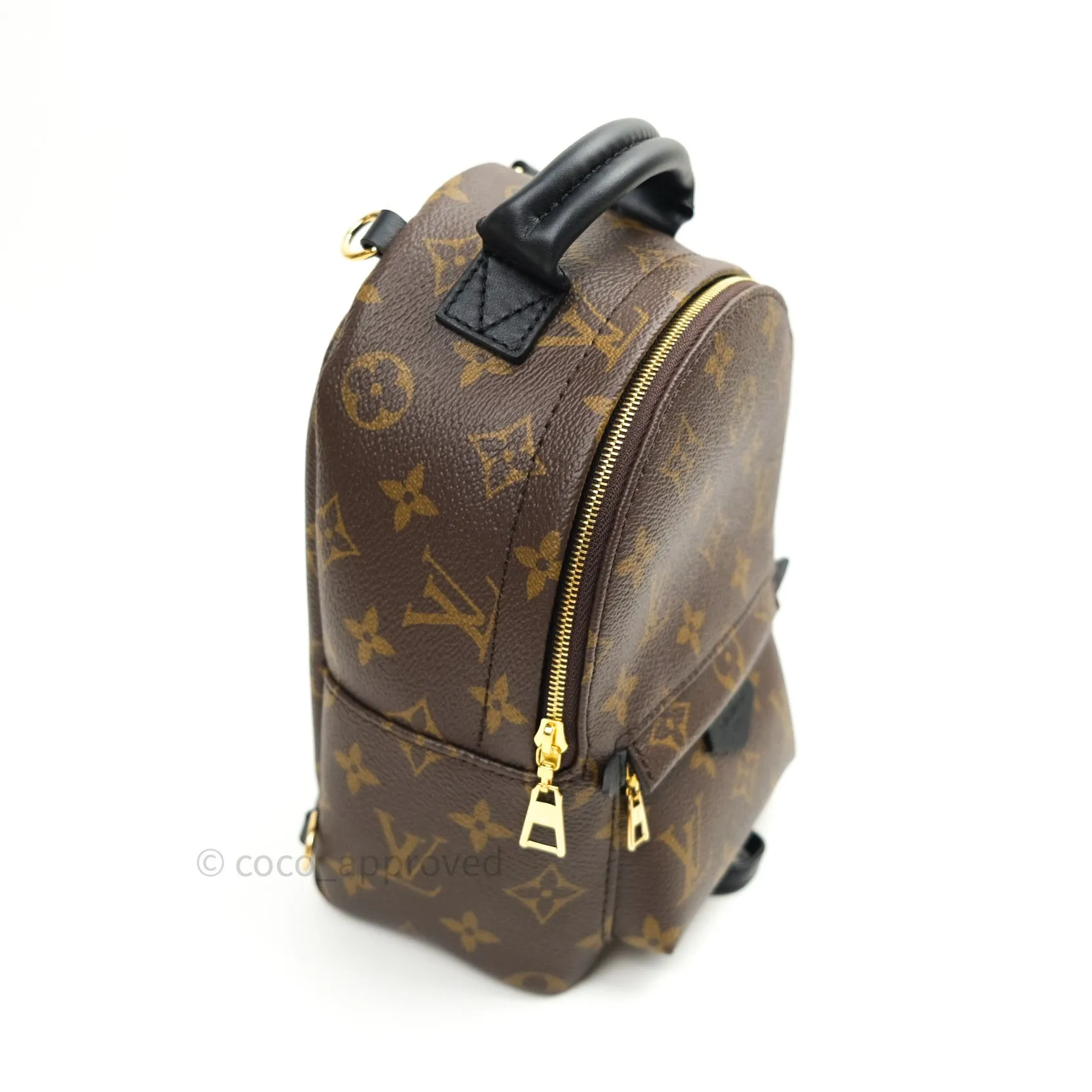 Louis Vuitton Monogram Mini Palm Springs Backpack