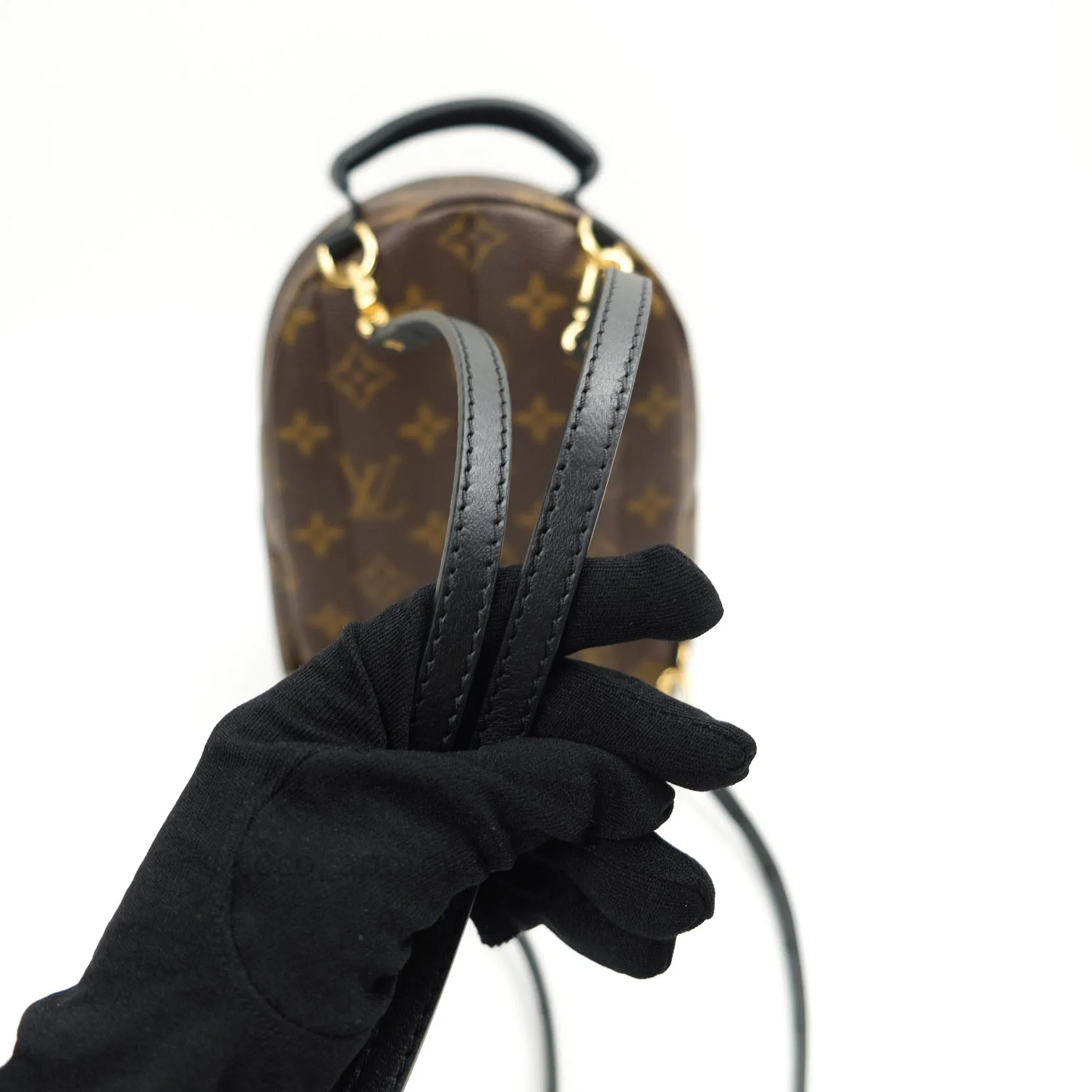 Louis Vuitton Monogram Mini Palm Springs Backpack