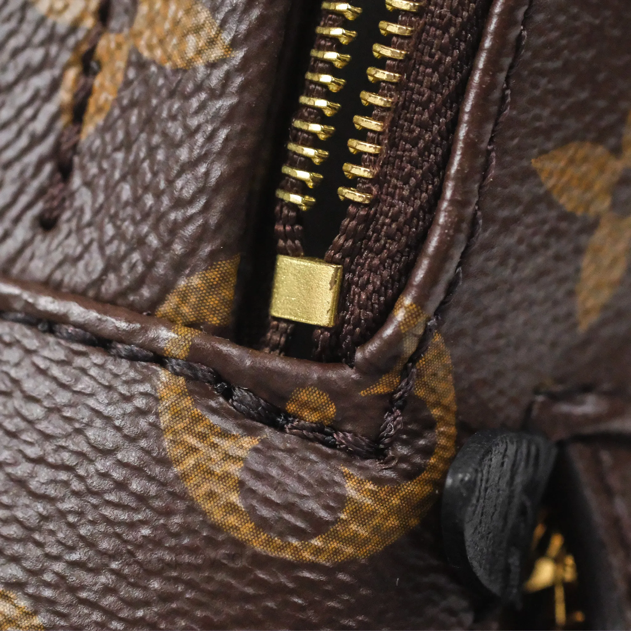 Louis Vuitton Monogram Mini Palm Springs Backpack
