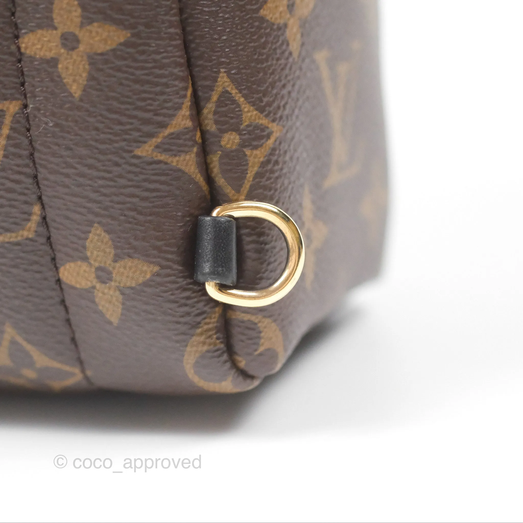 Louis Vuitton Monogram Mini Palm Springs Backpack