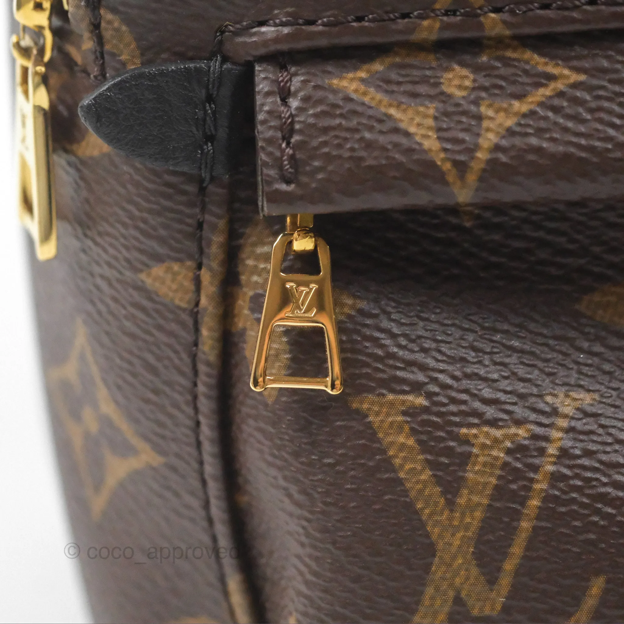 Louis Vuitton Monogram Mini Palm Springs Backpack