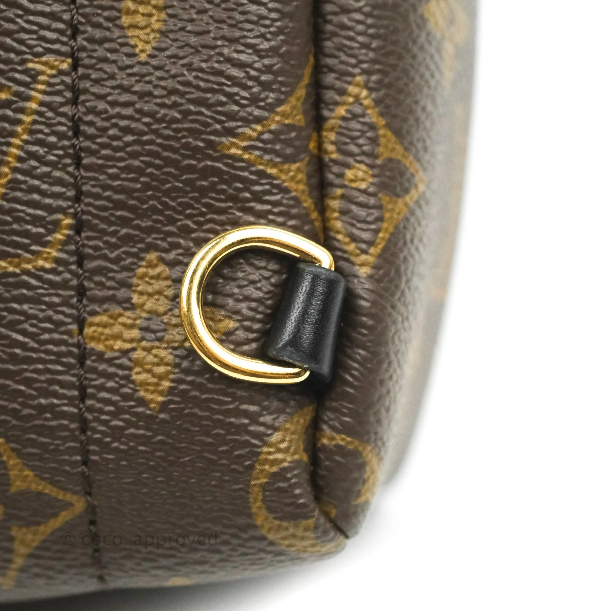 Louis Vuitton Monogram Mini Palm Springs Backpack