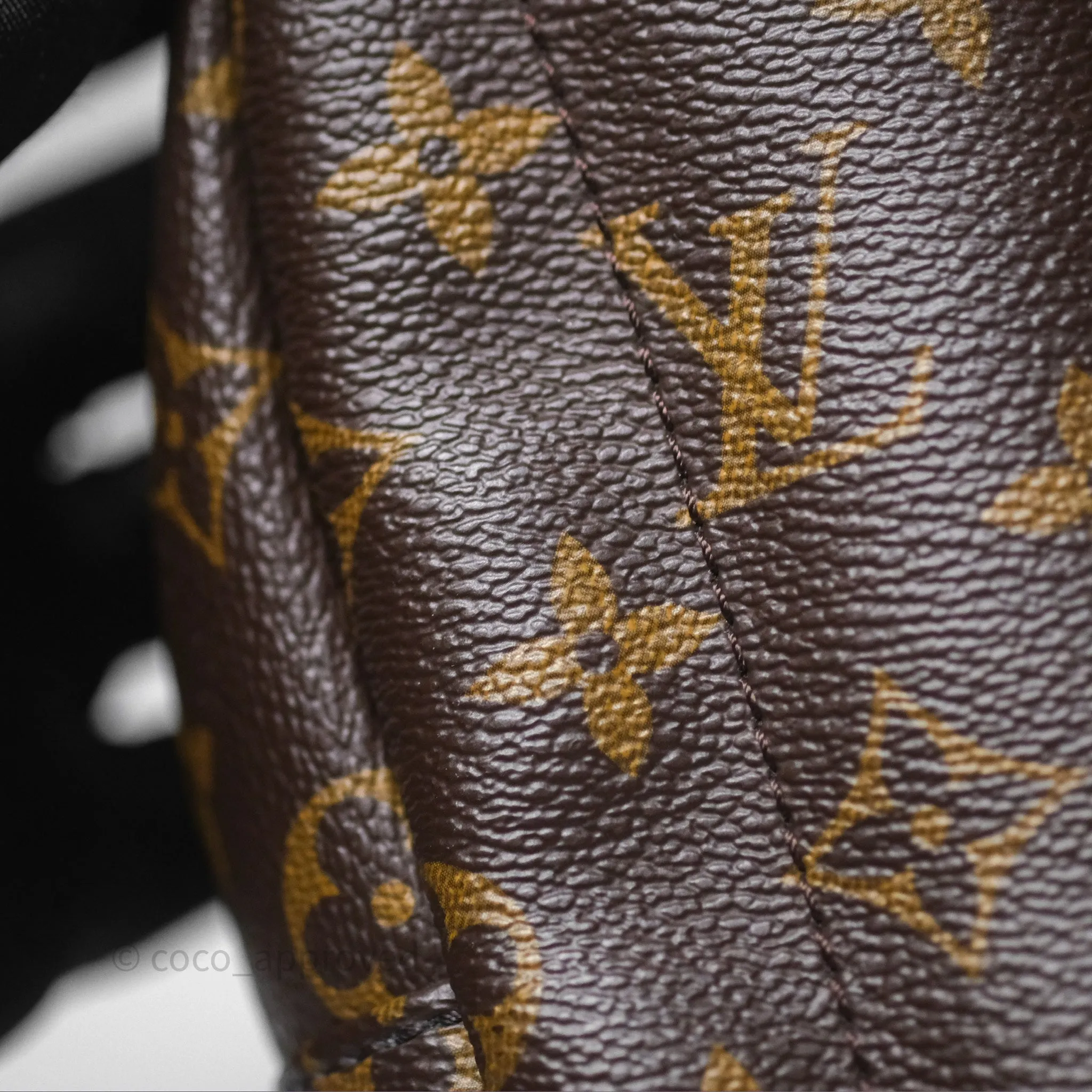 Louis Vuitton Monogram Mini Palm Springs Backpack