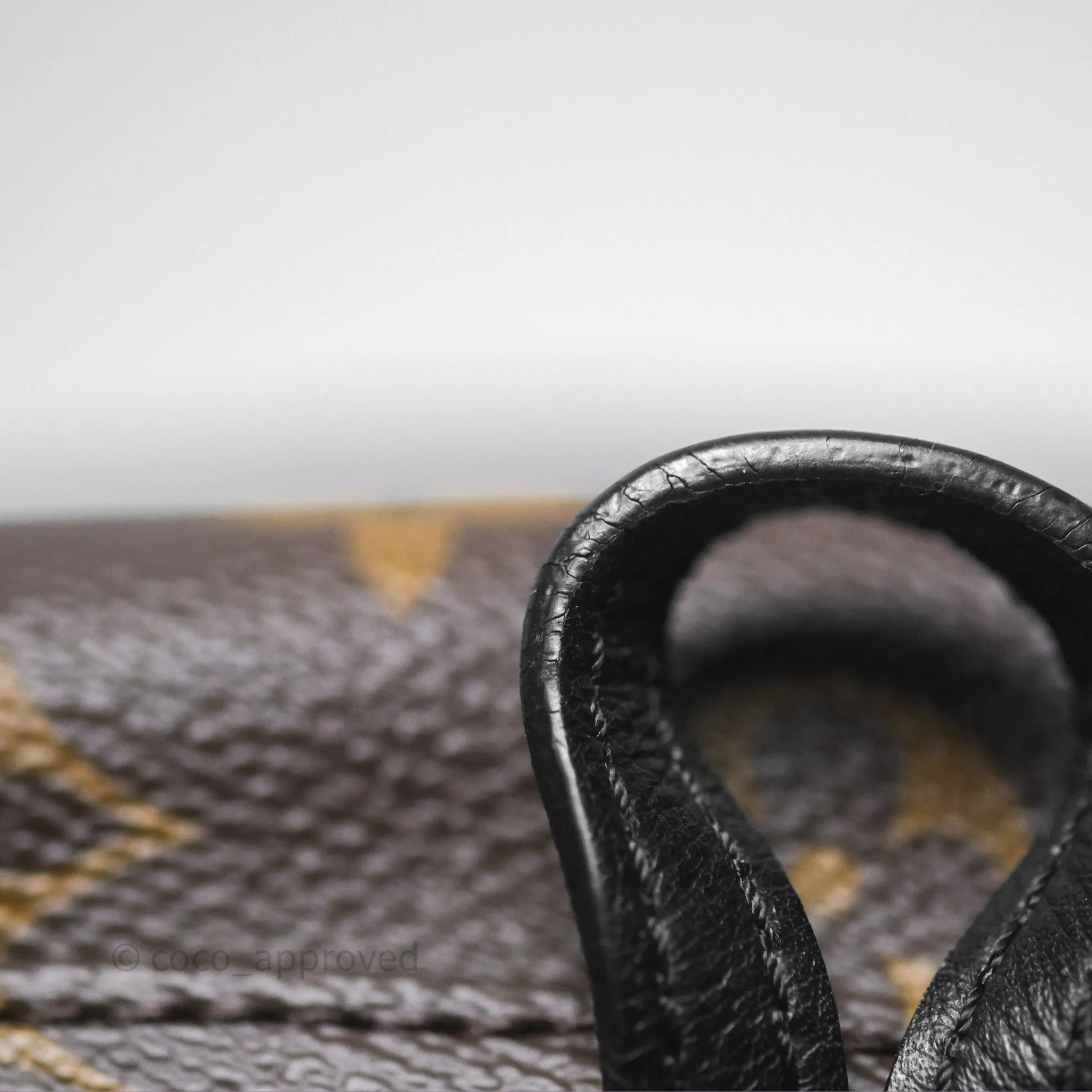 Louis Vuitton Monogram Mini Palm Springs Backpack