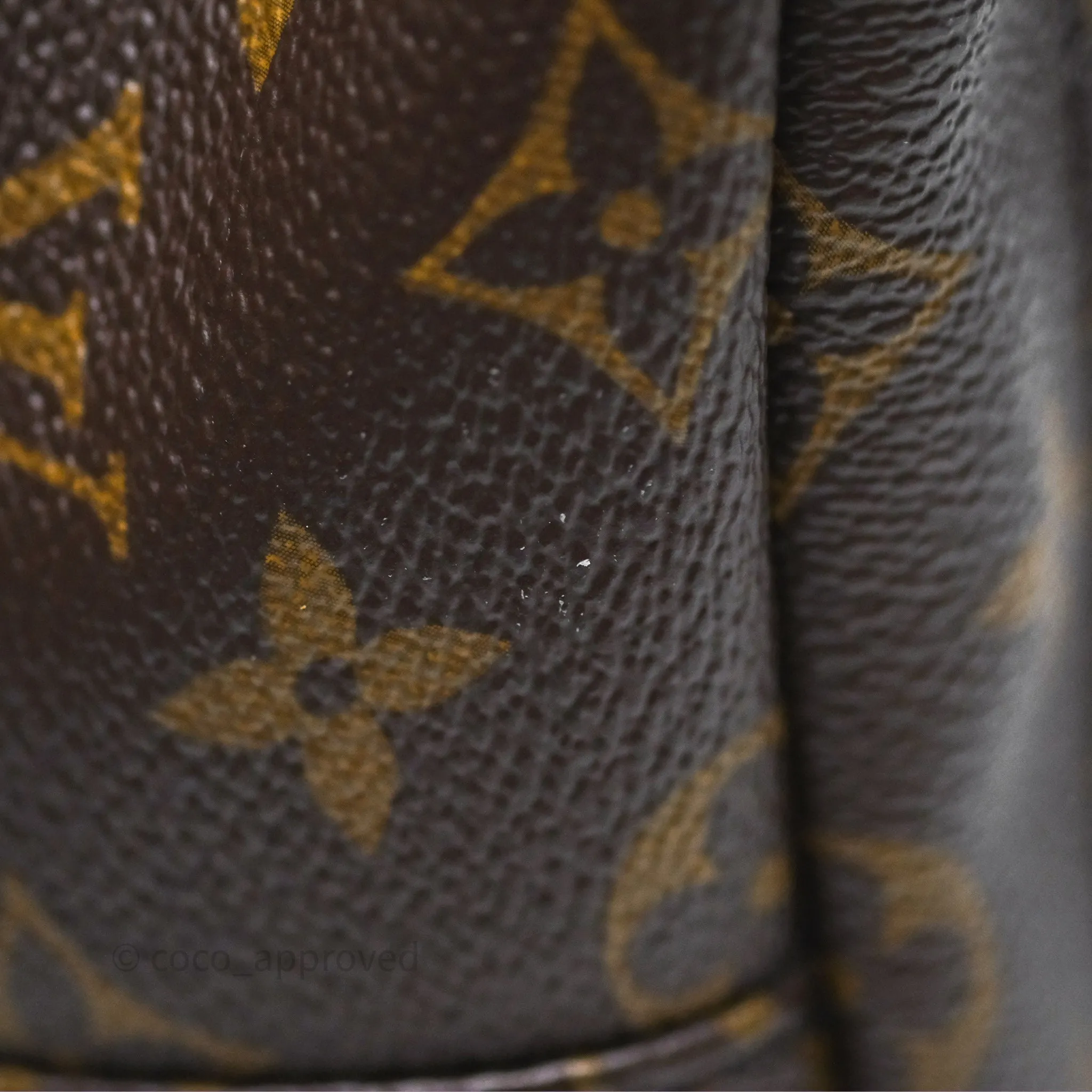 Louis Vuitton Monogram Mini Palm Springs Backpack