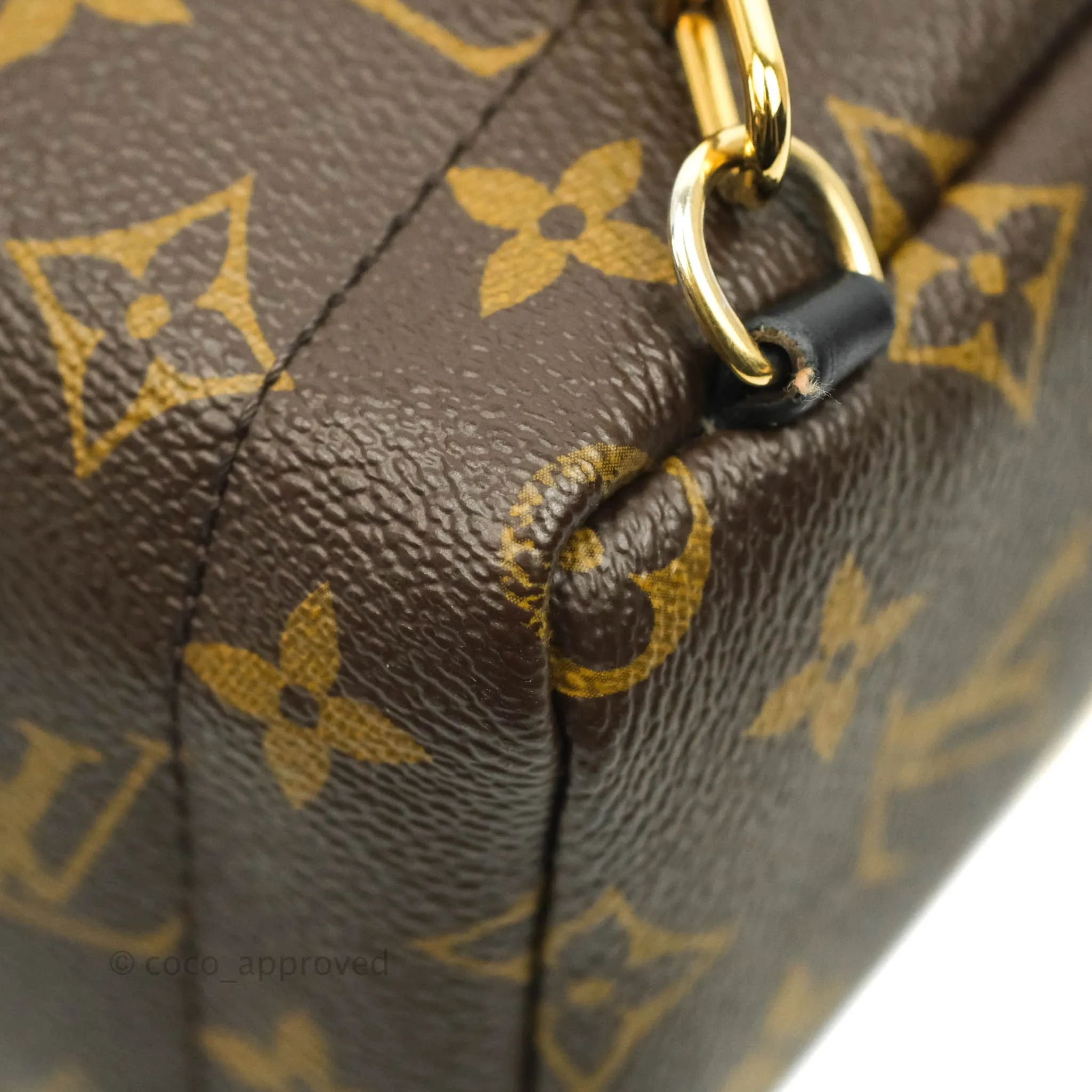 Louis Vuitton Monogram Mini Palm Springs Backpack