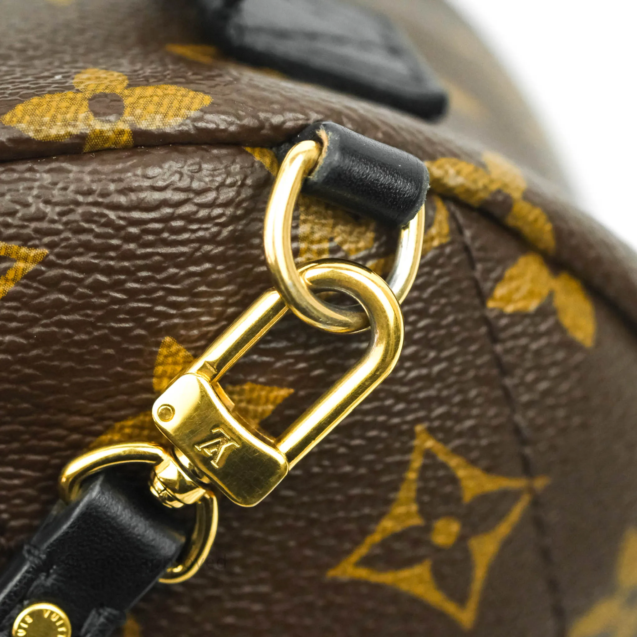 Louis Vuitton Monogram Mini Palm Springs Backpack