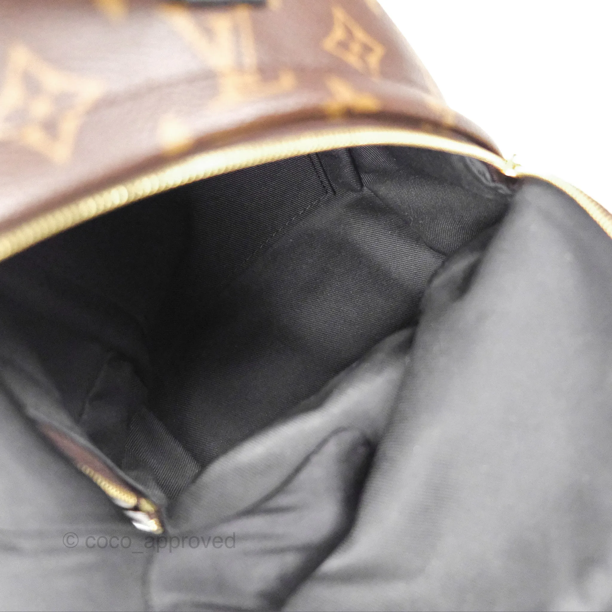 Louis Vuitton Monogram Mini Palm Springs Backpack