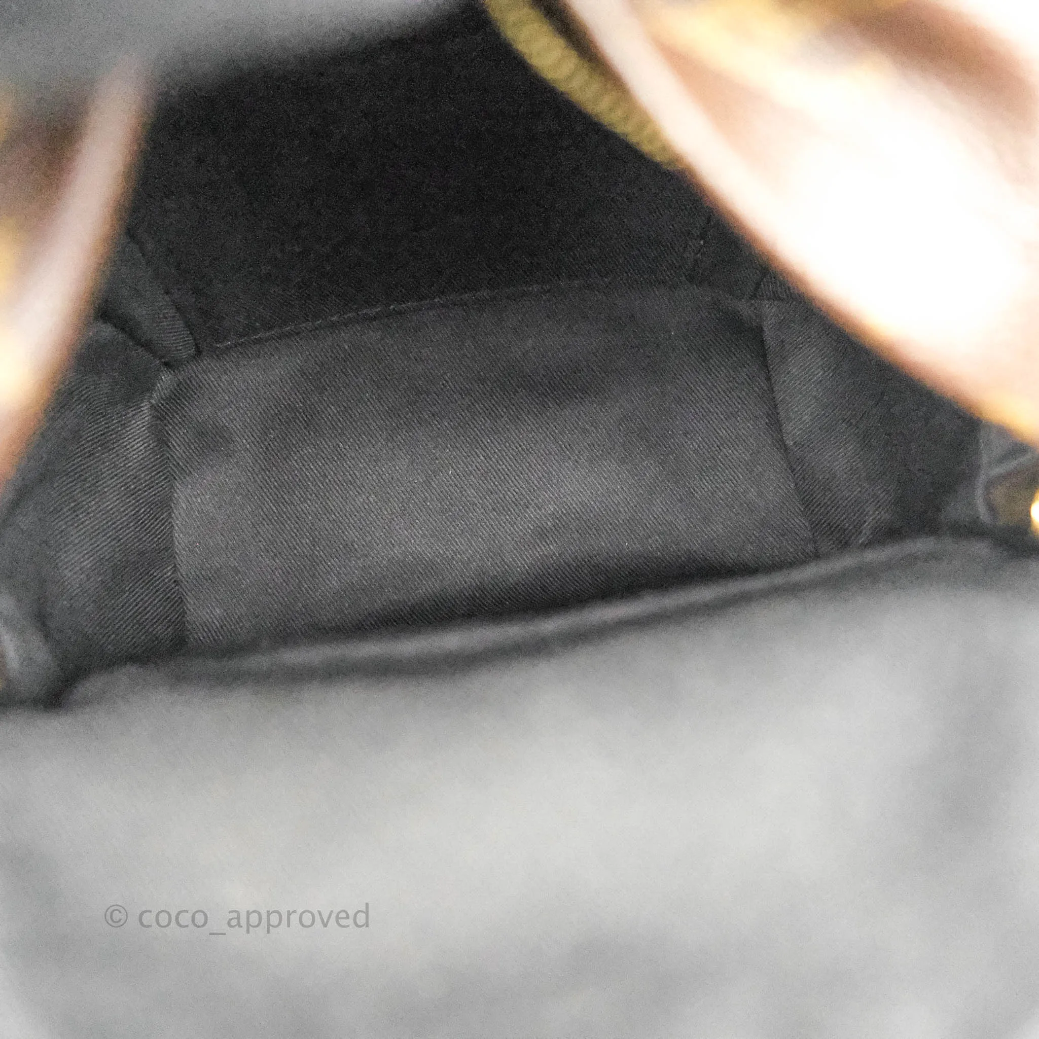 Louis Vuitton Monogram Mini Palm Springs Backpack