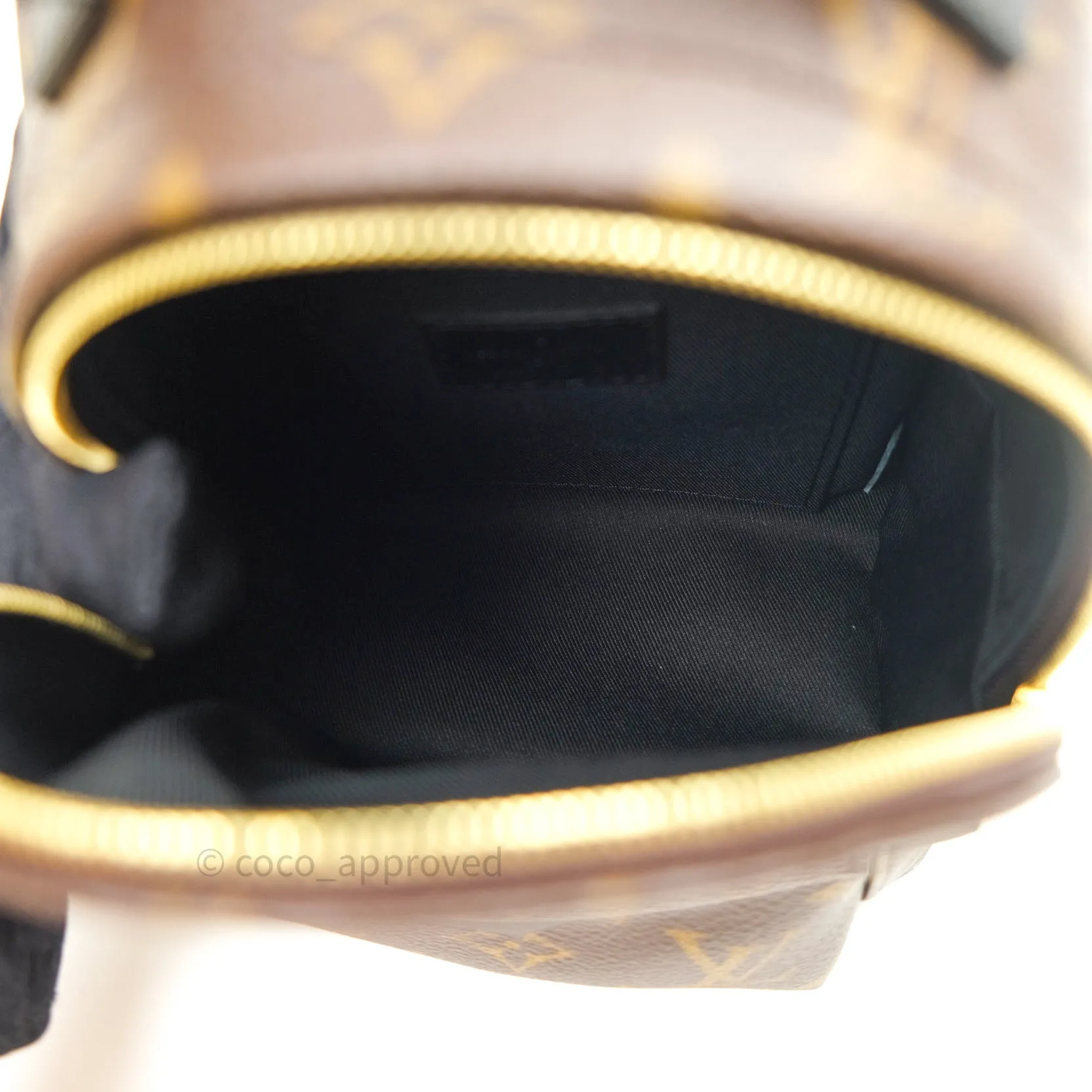 Louis Vuitton Monogram Mini Palm Springs Backpack