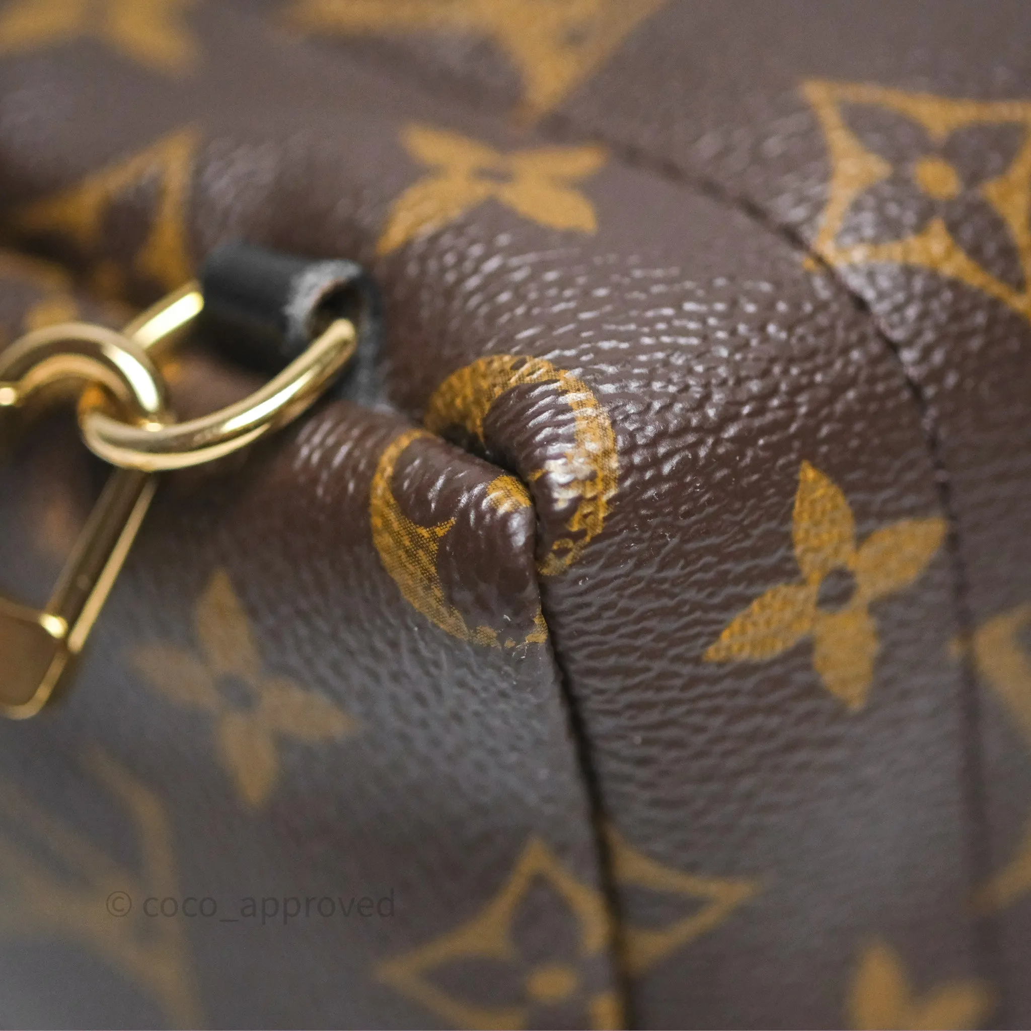 Louis Vuitton Monogram Mini Palm Springs Backpack