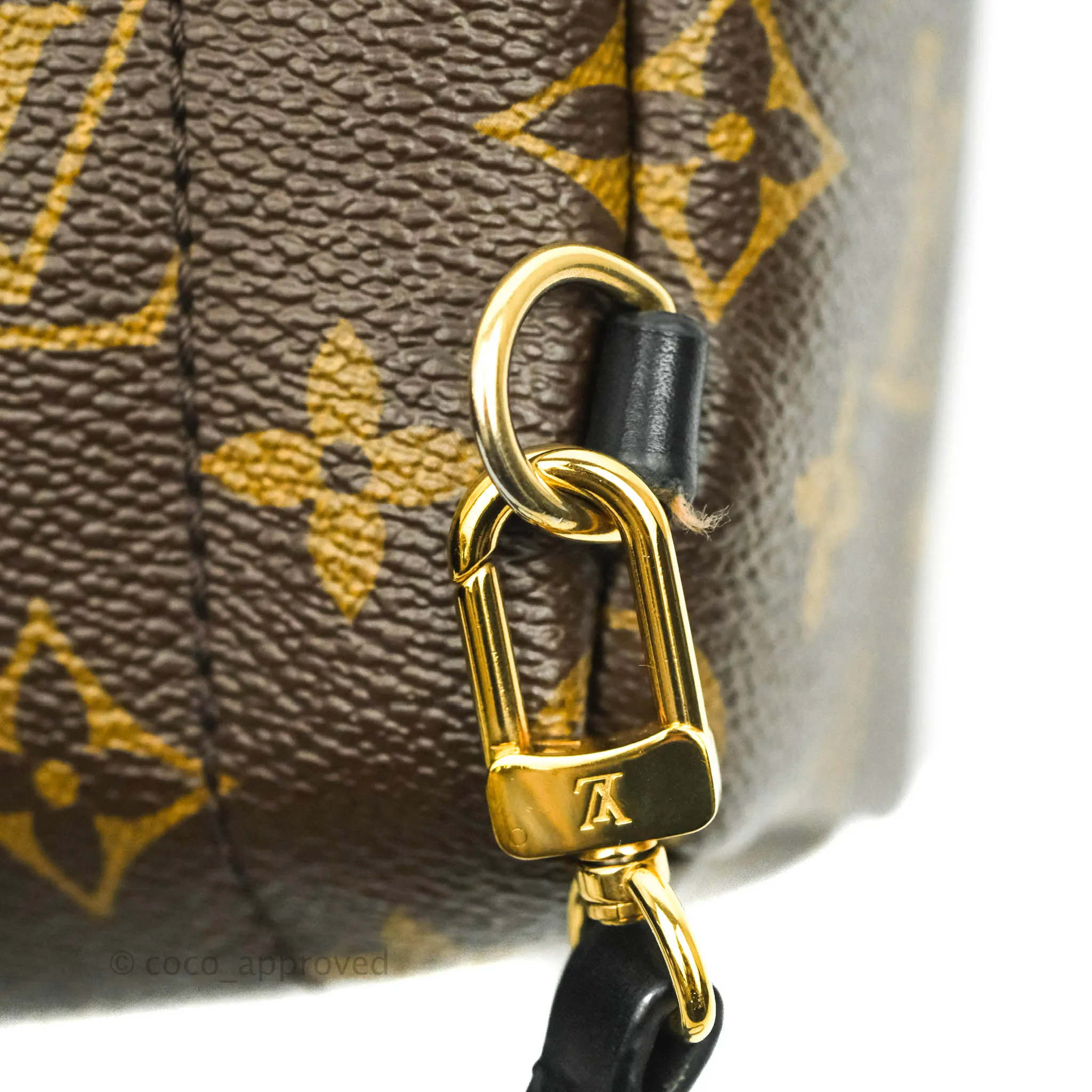 Louis Vuitton Monogram Mini Palm Springs Backpack