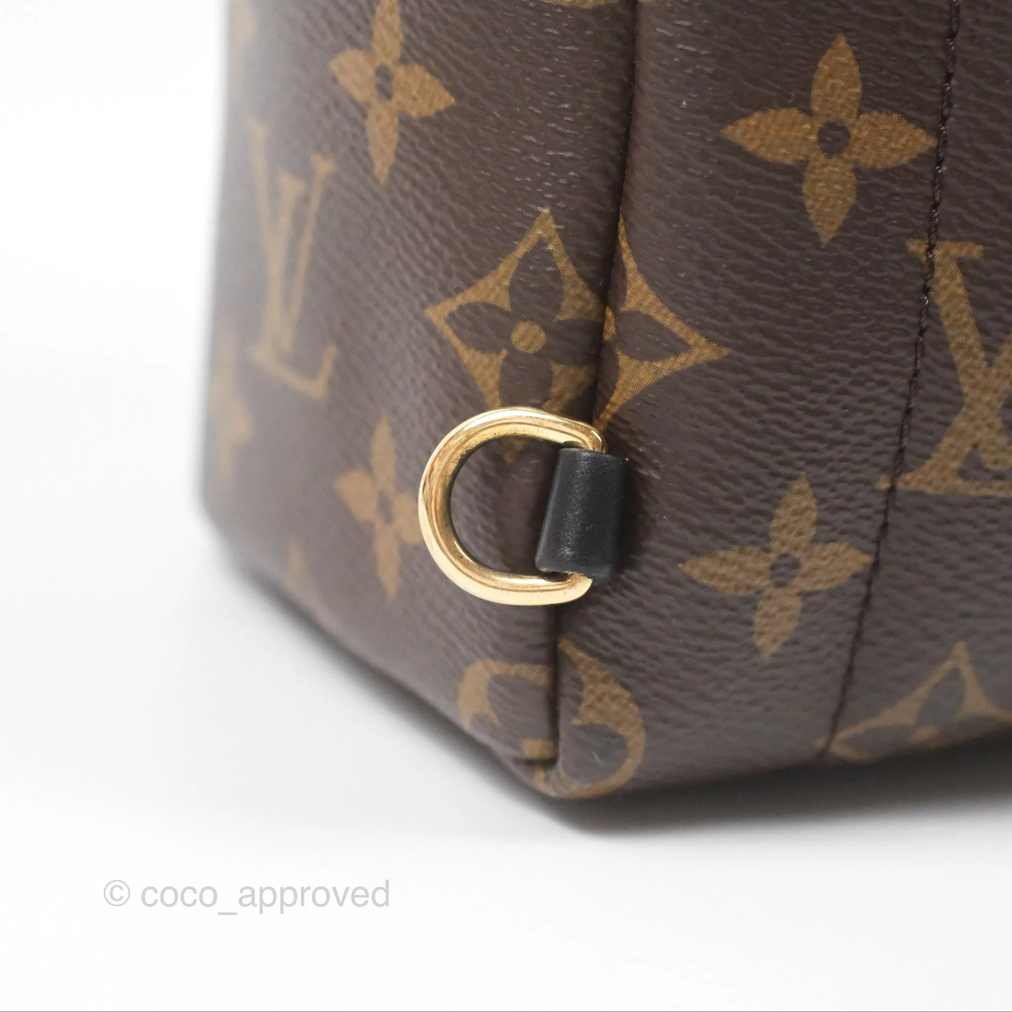 Louis Vuitton Monogram Mini Palm Springs Backpack