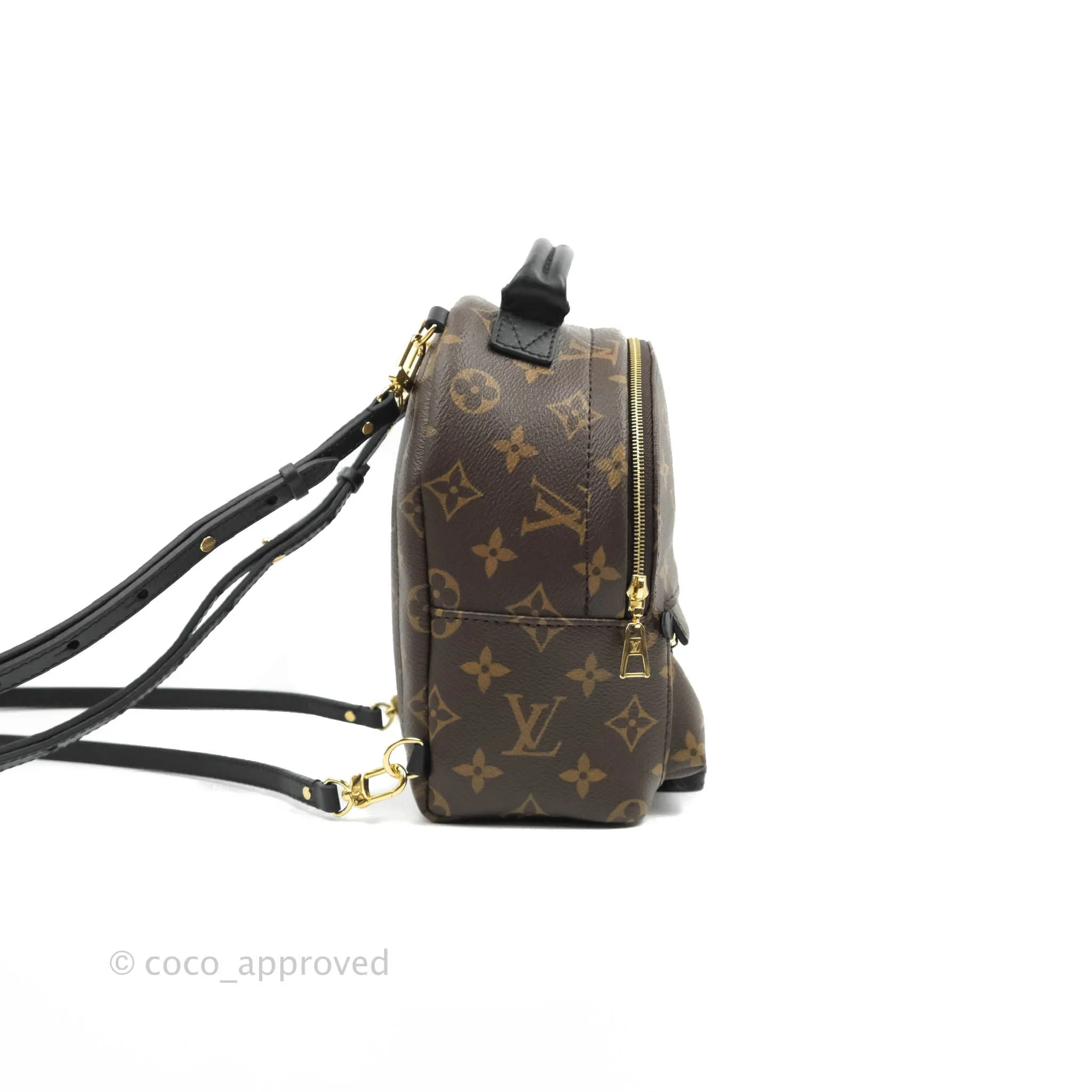Louis Vuitton Monogram Mini Palm Springs Backpack