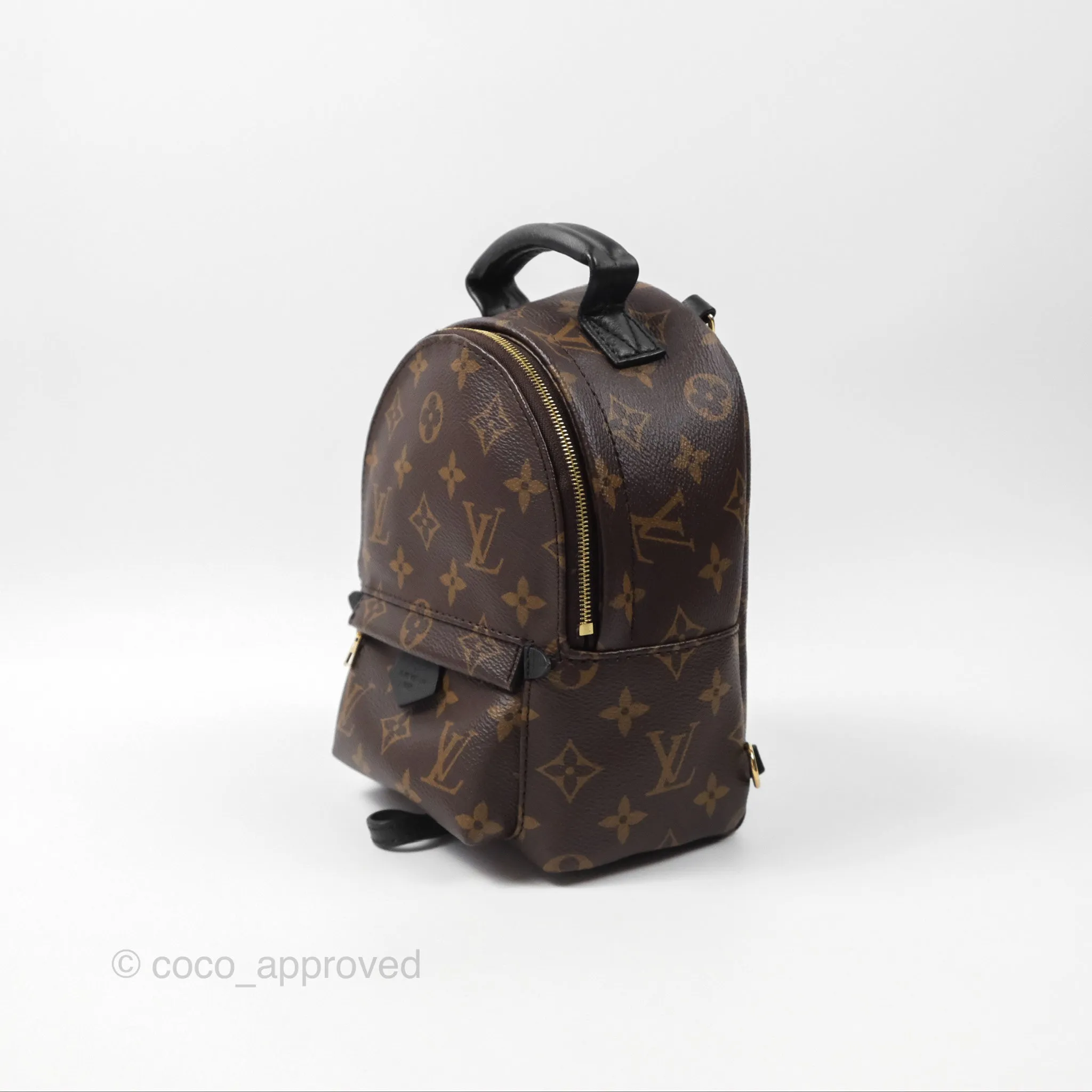 Louis Vuitton Monogram Mini Palm Springs Backpack