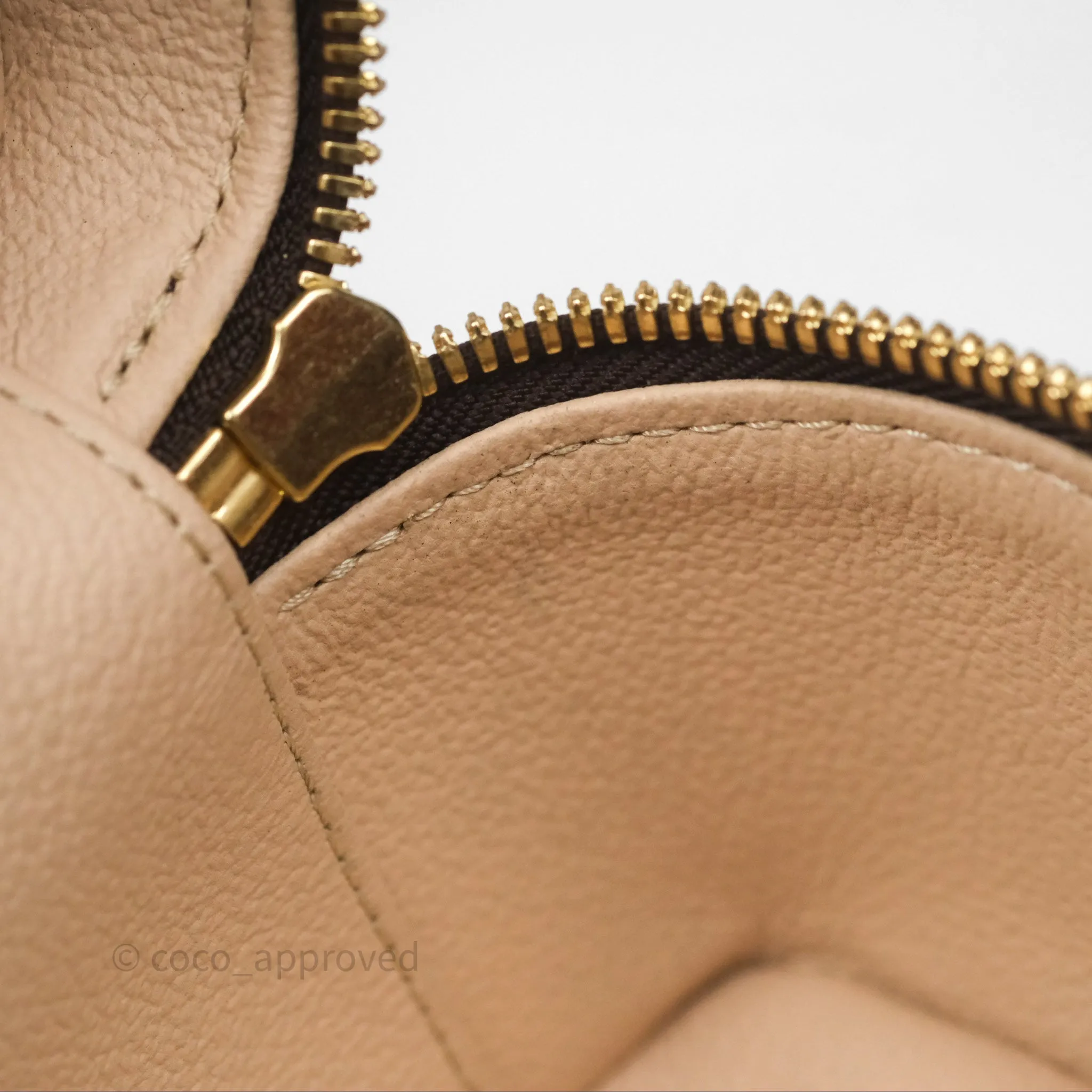 Louis Vuitton Monogram Nice Nano