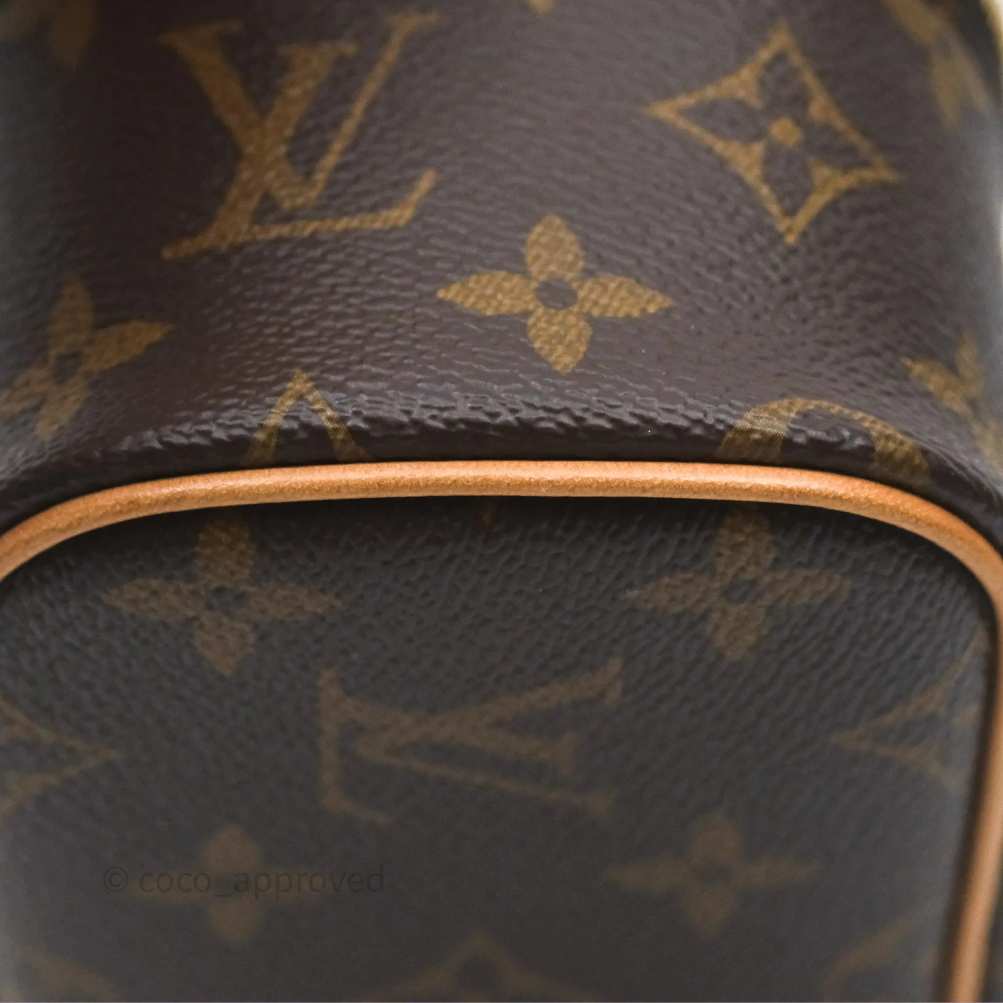 Louis Vuitton Monogram Nice Nano
