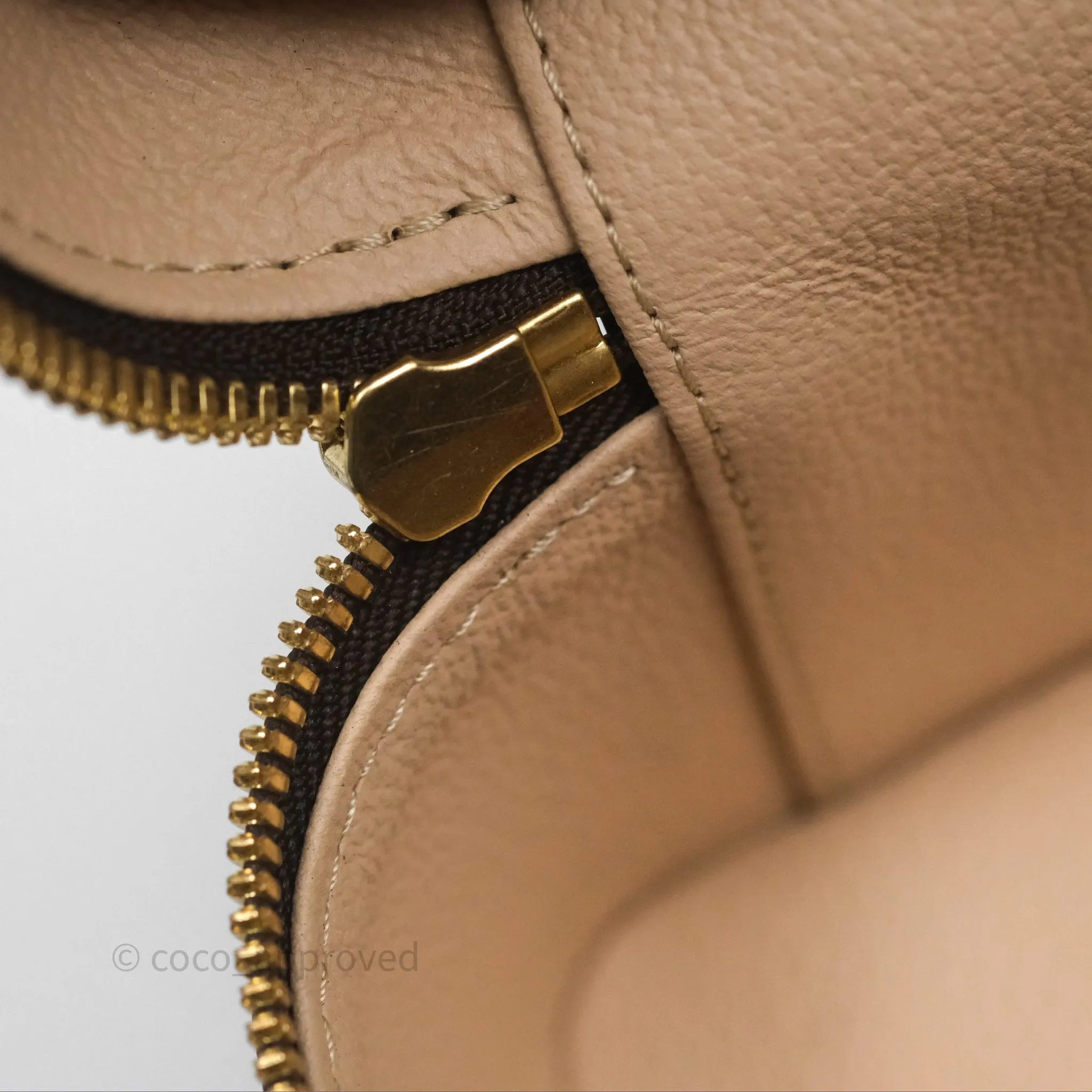 Louis Vuitton Monogram Nice Nano