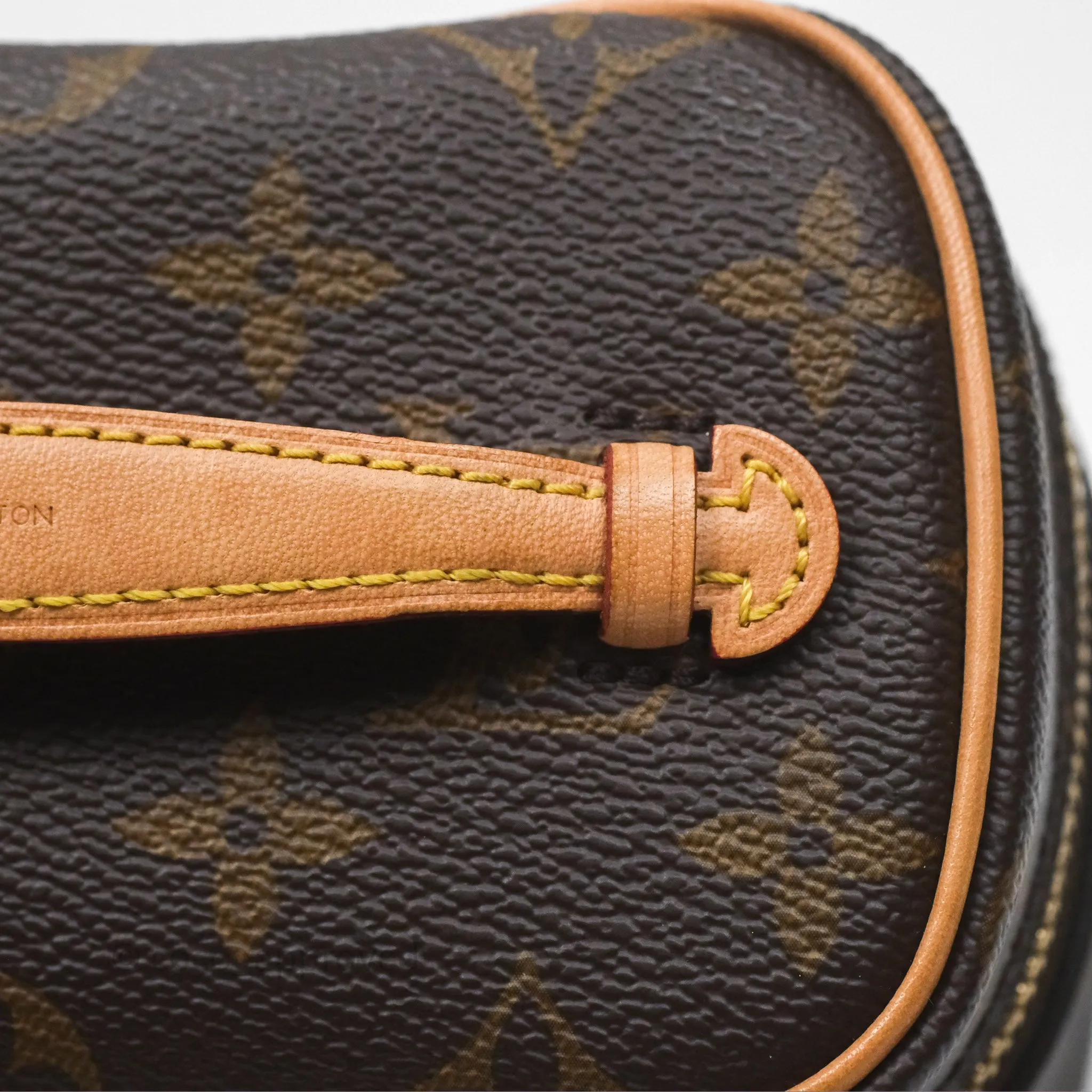 Louis Vuitton Monogram Nice Nano