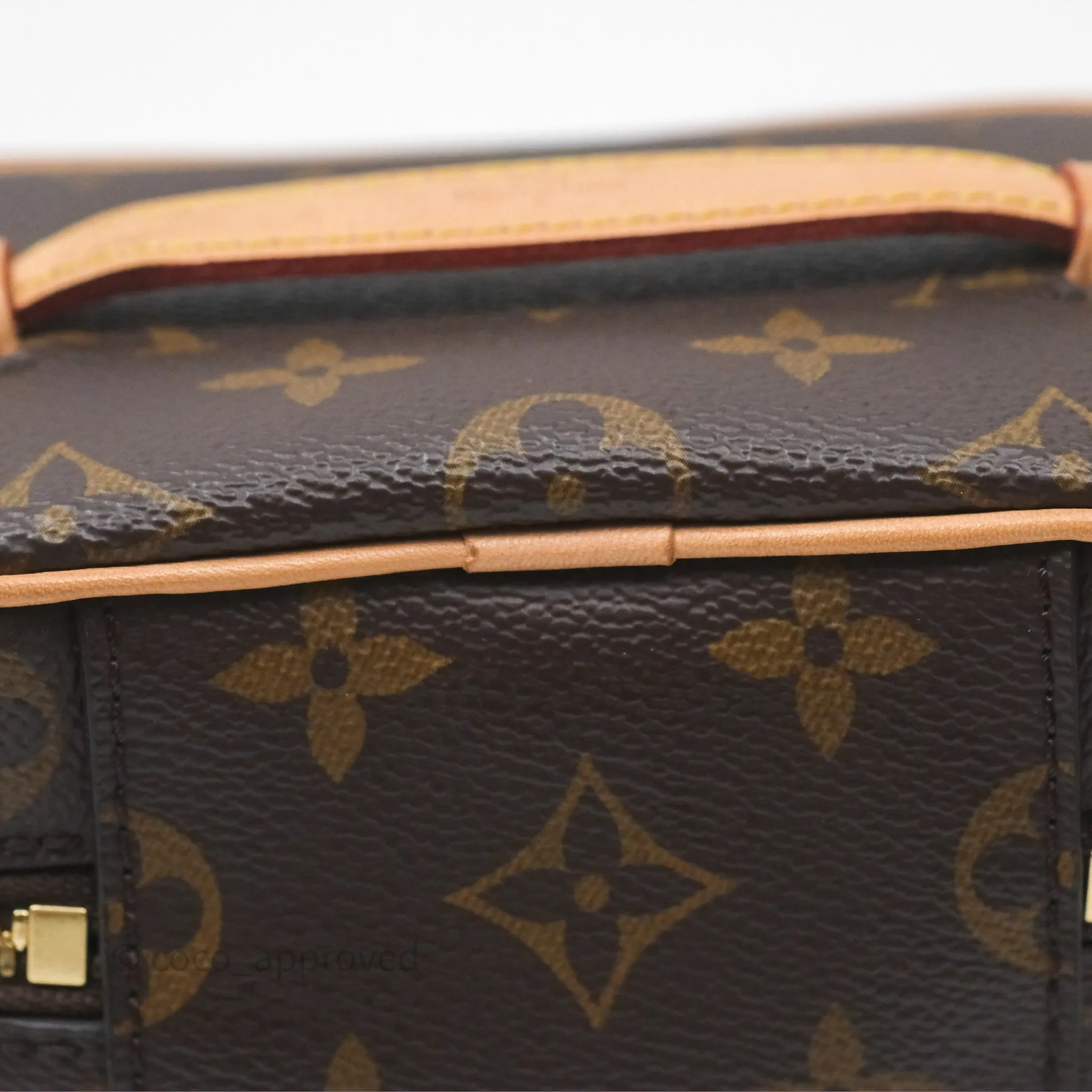 Louis Vuitton Monogram Nice Nano