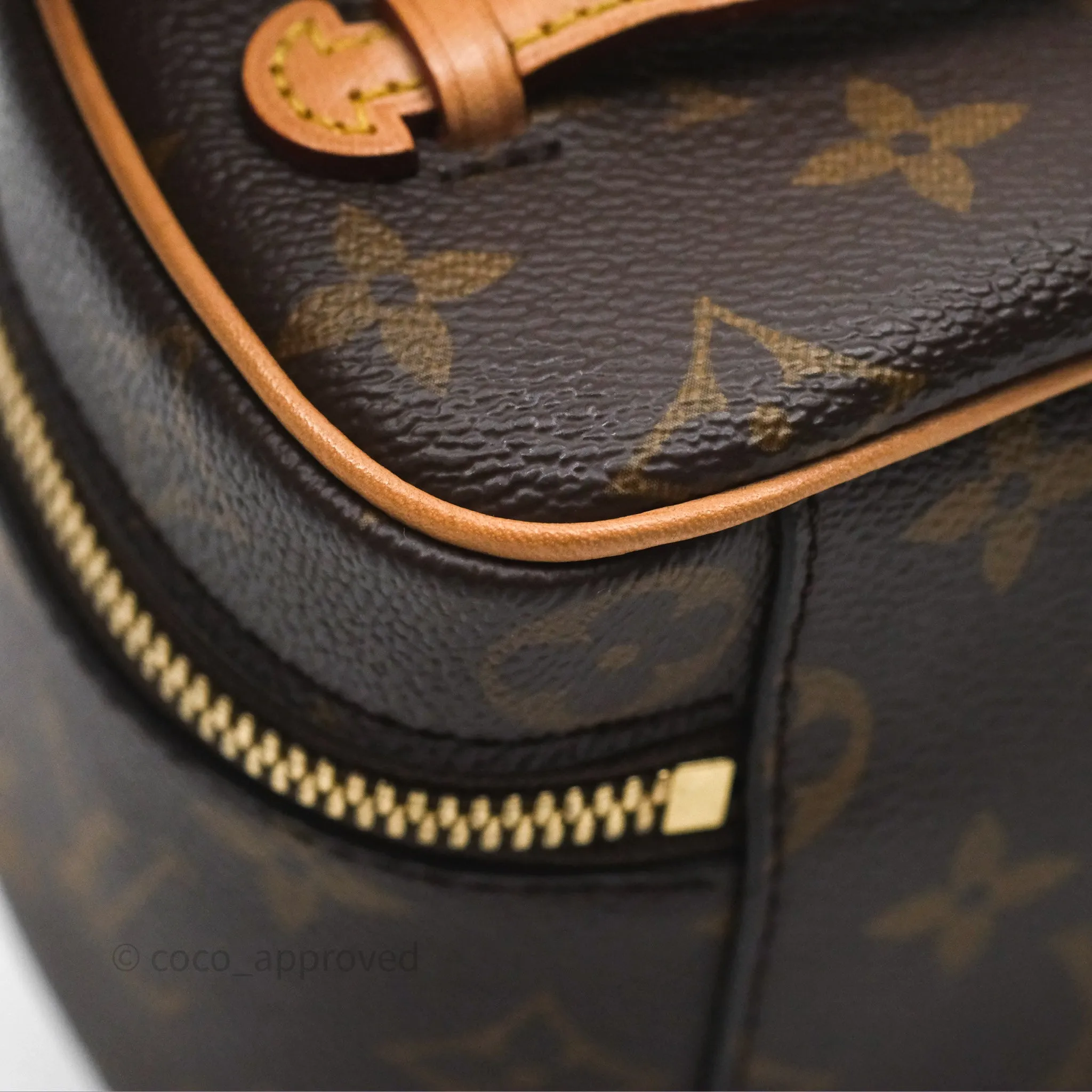 Louis Vuitton Monogram Nice Nano