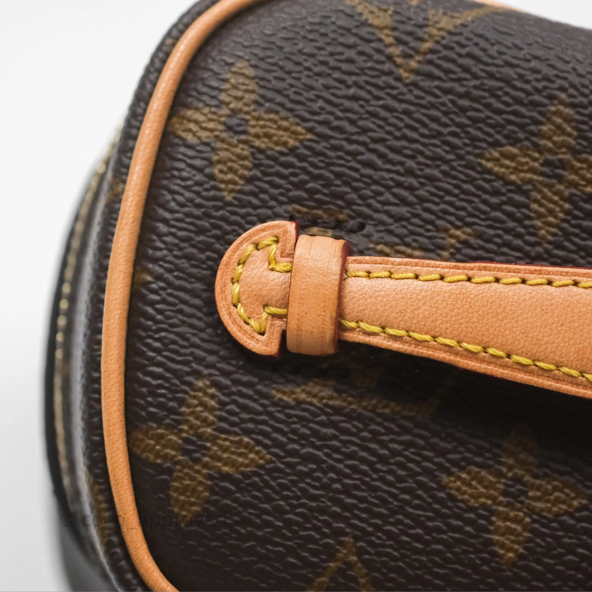 Louis Vuitton Monogram Nice Nano