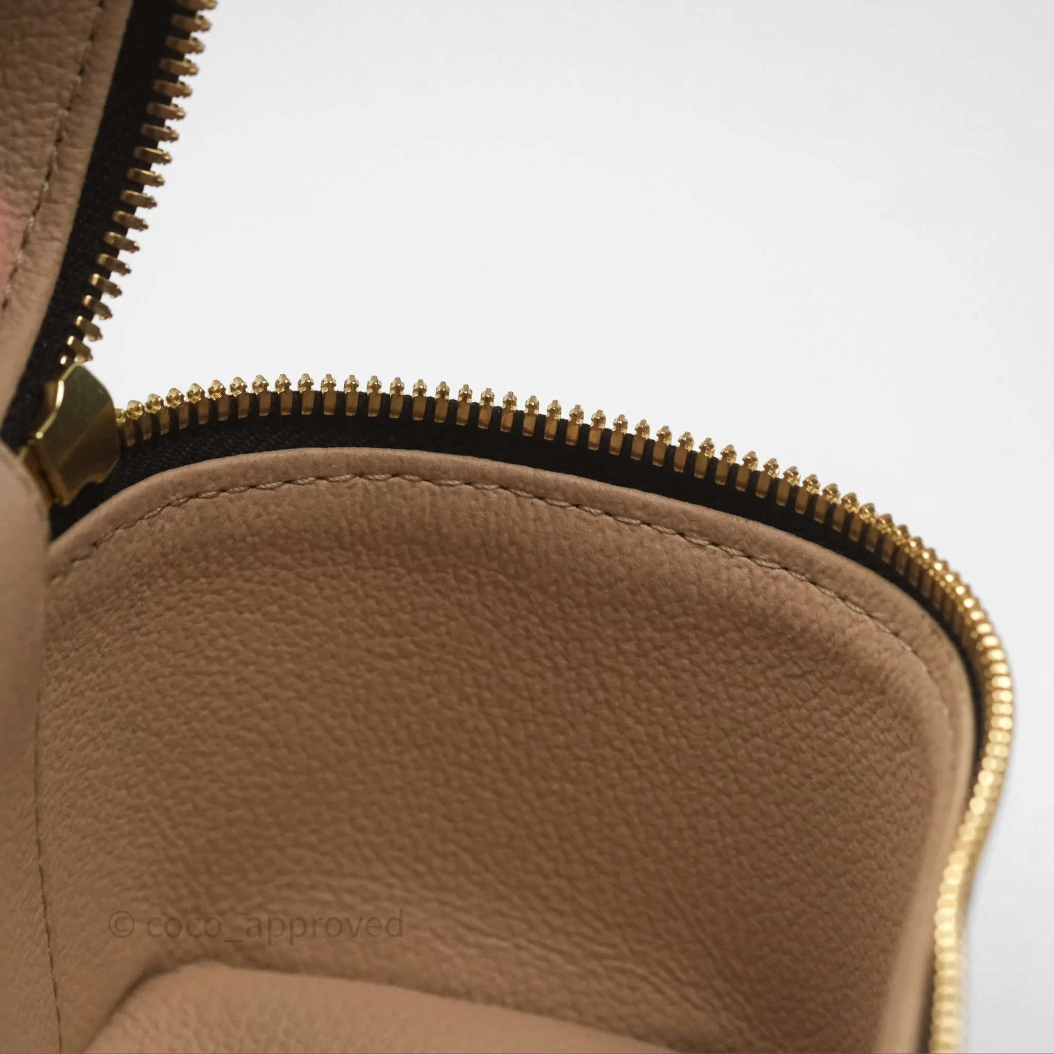 Louis Vuitton Monogram Nice Nano