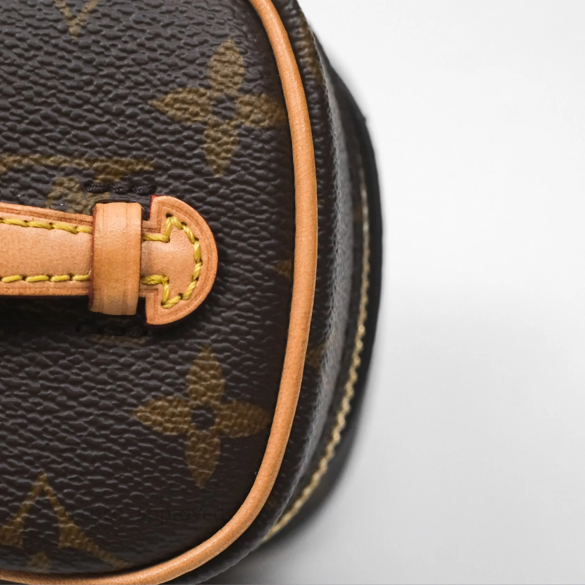 Louis Vuitton Monogram Nice Nano