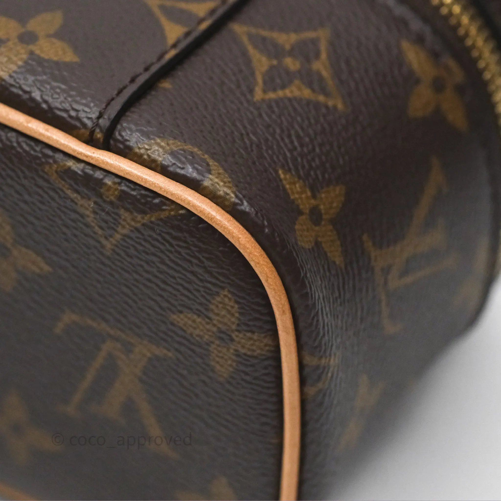 Louis Vuitton Monogram Nice Nano