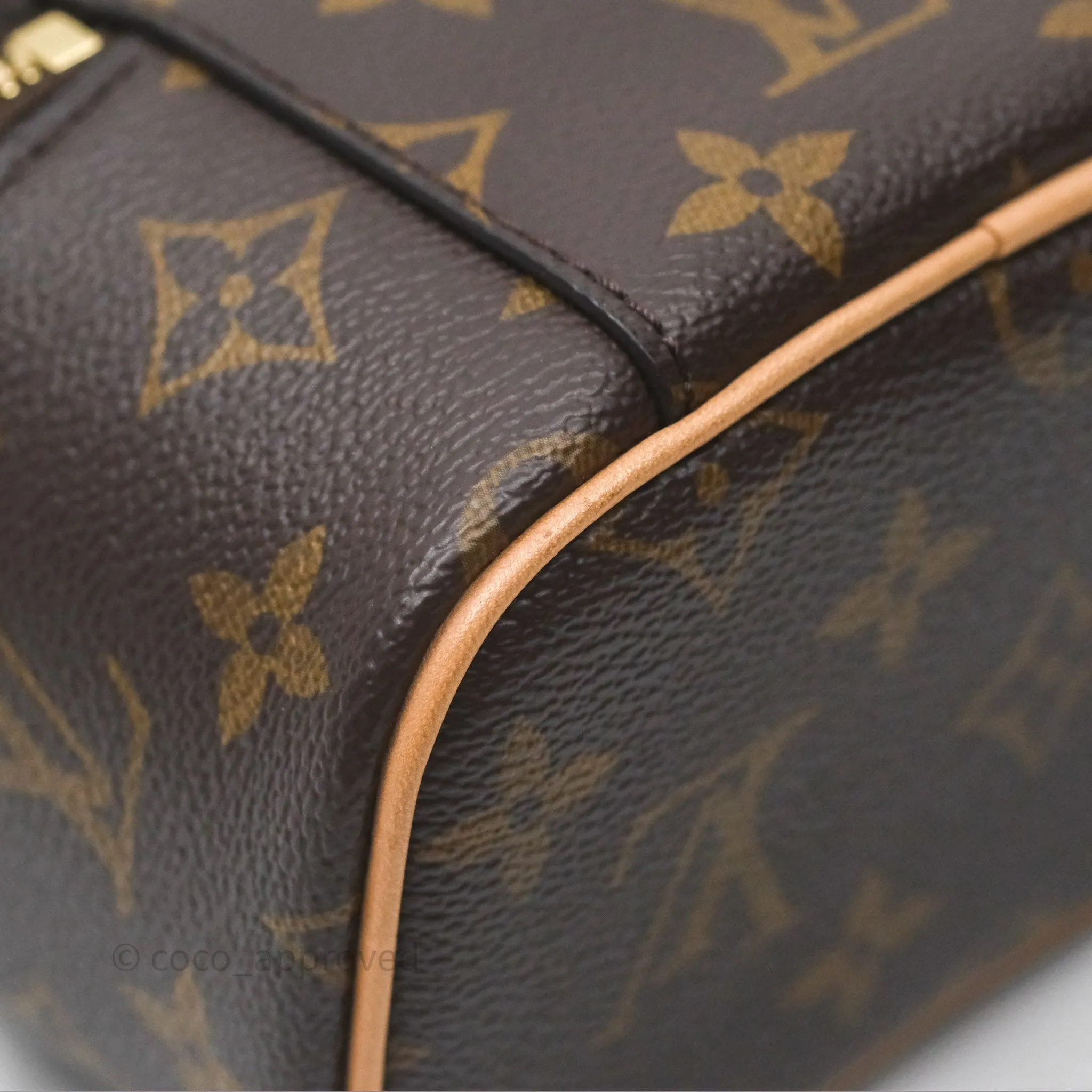 Louis Vuitton Monogram Nice Nano