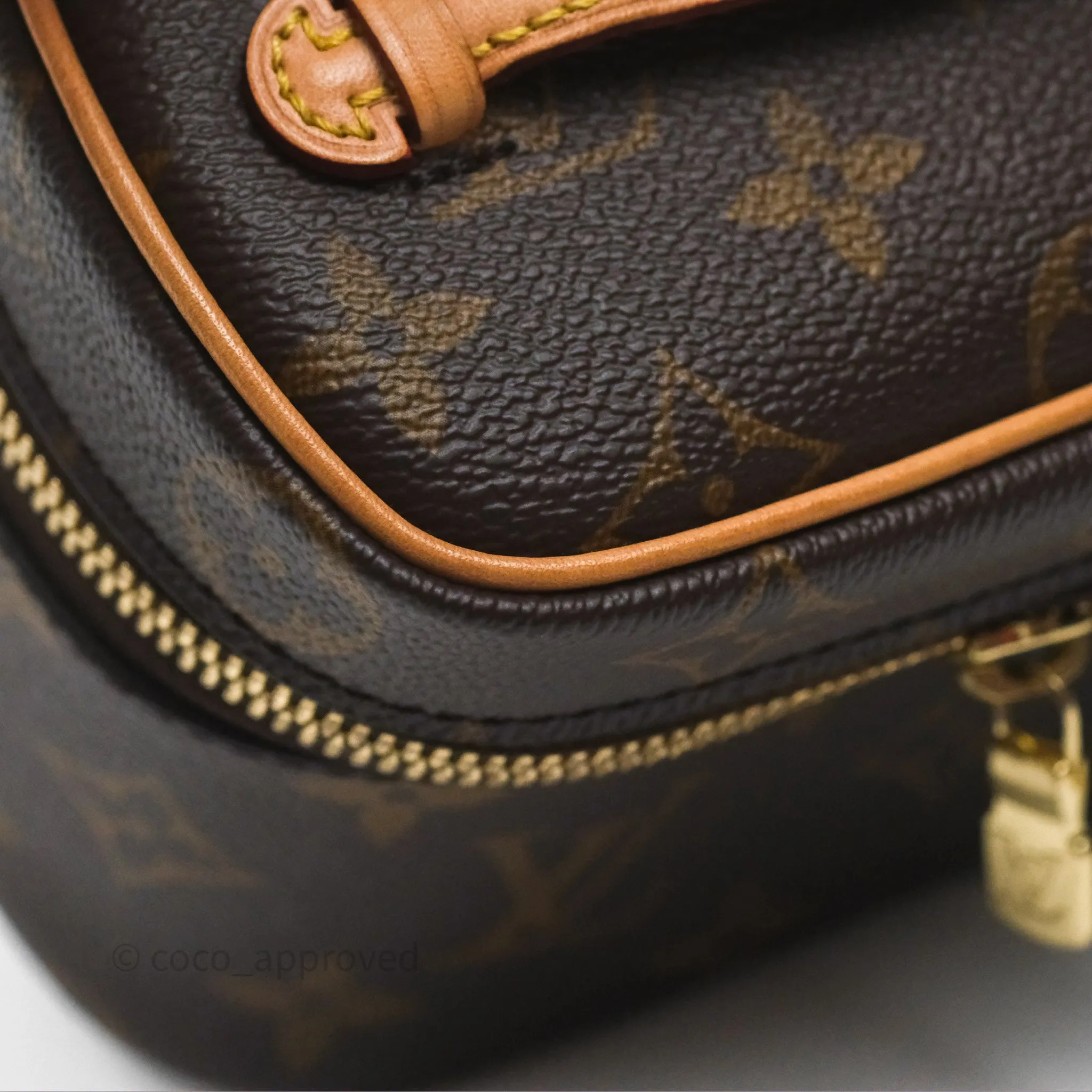 Louis Vuitton Monogram Nice Nano