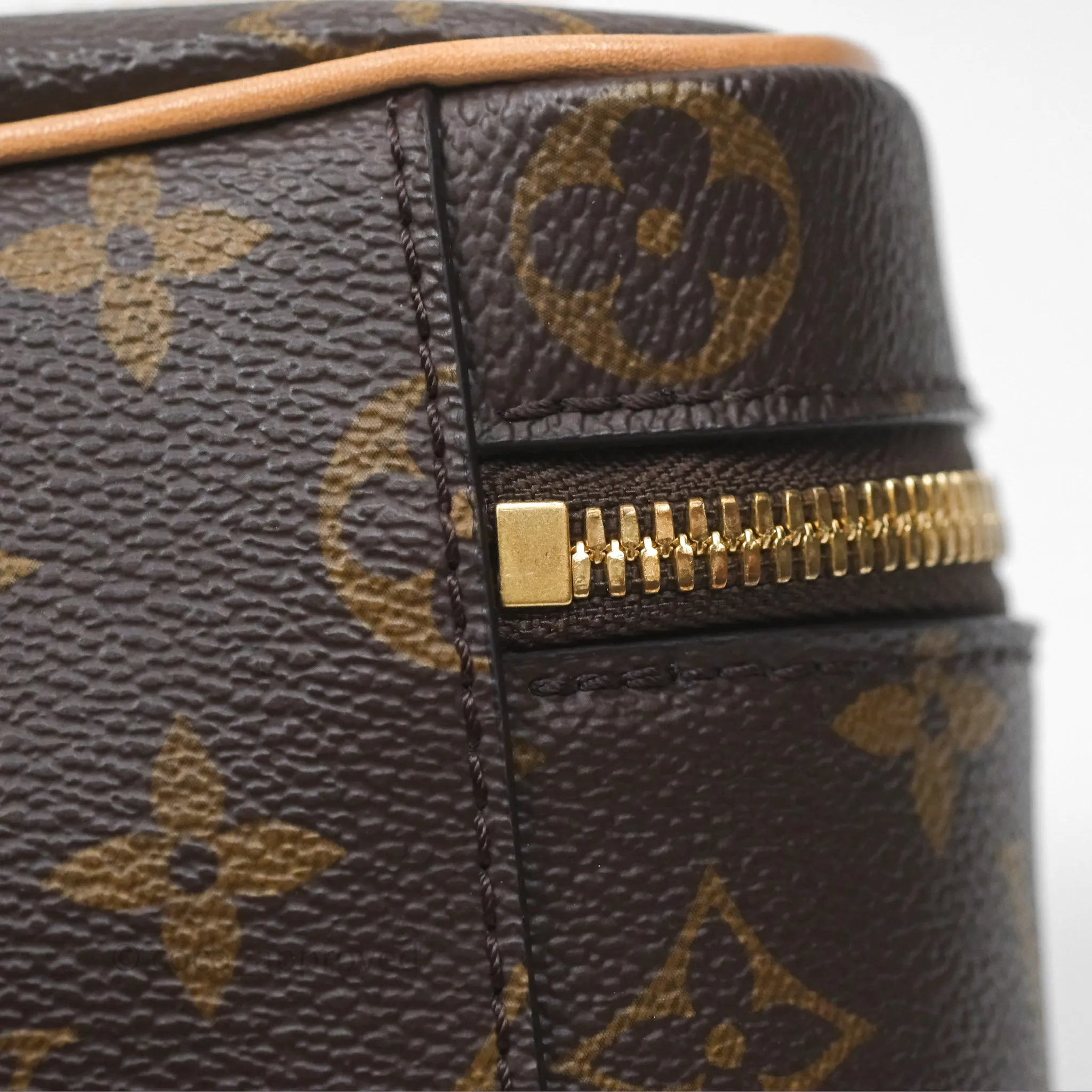 Louis Vuitton Monogram Nice Nano