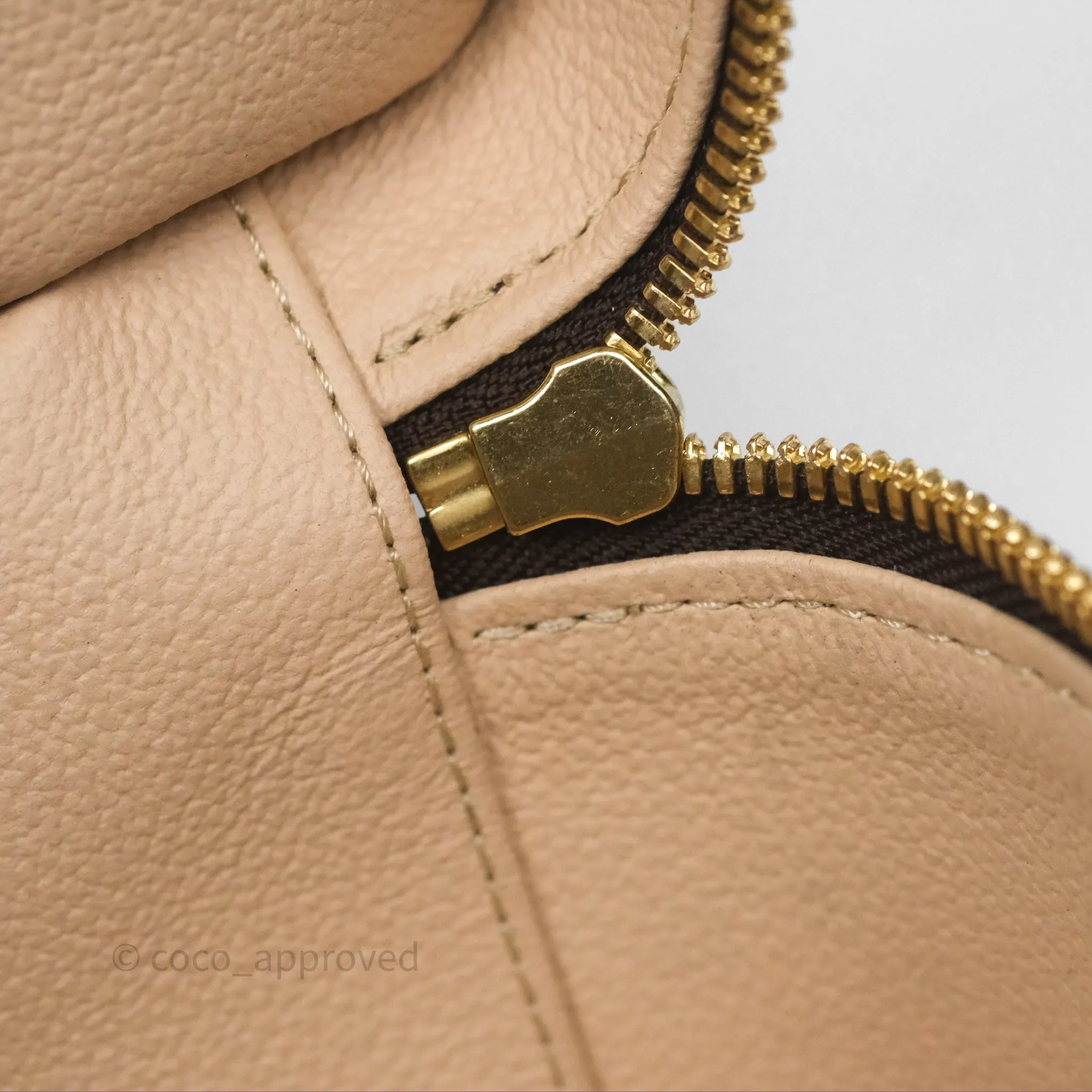 Louis Vuitton Monogram Nice Nano