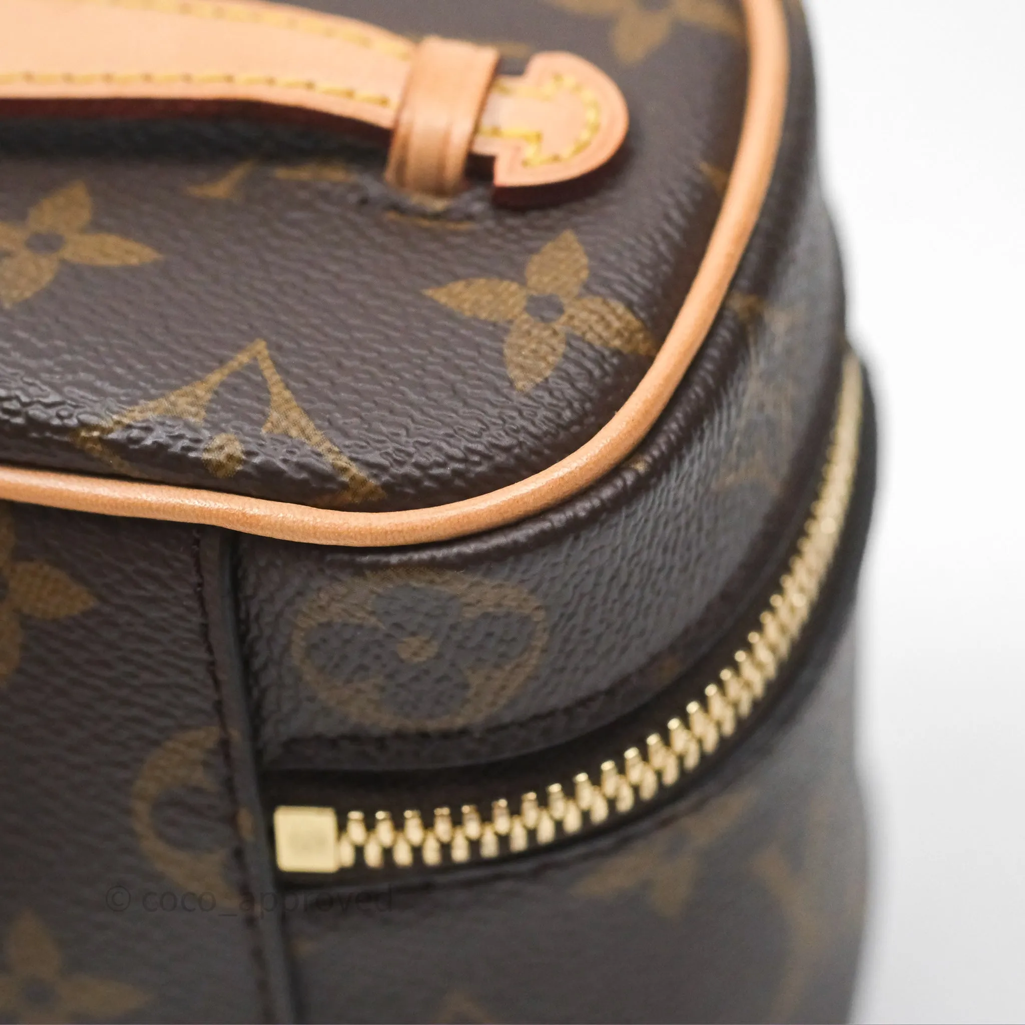 Louis Vuitton Monogram Nice Nano
