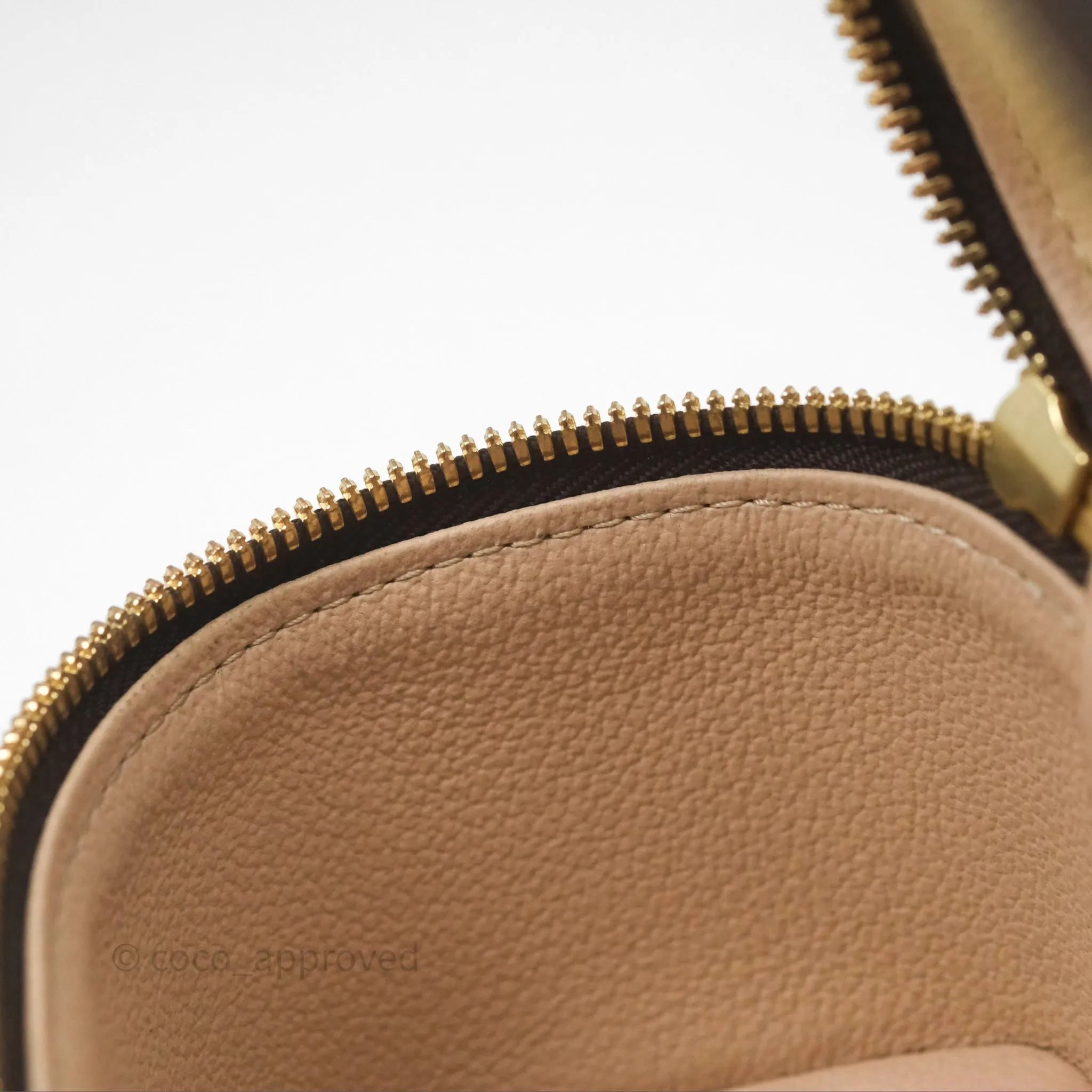 Louis Vuitton Monogram Nice Nano