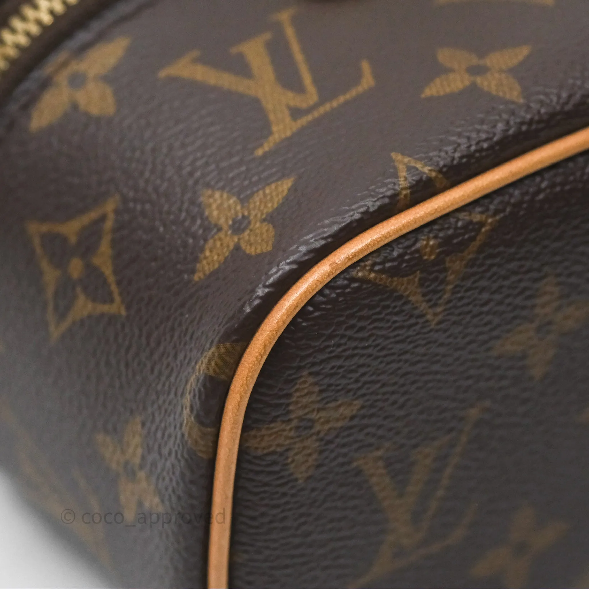 Louis Vuitton Monogram Nice Nano