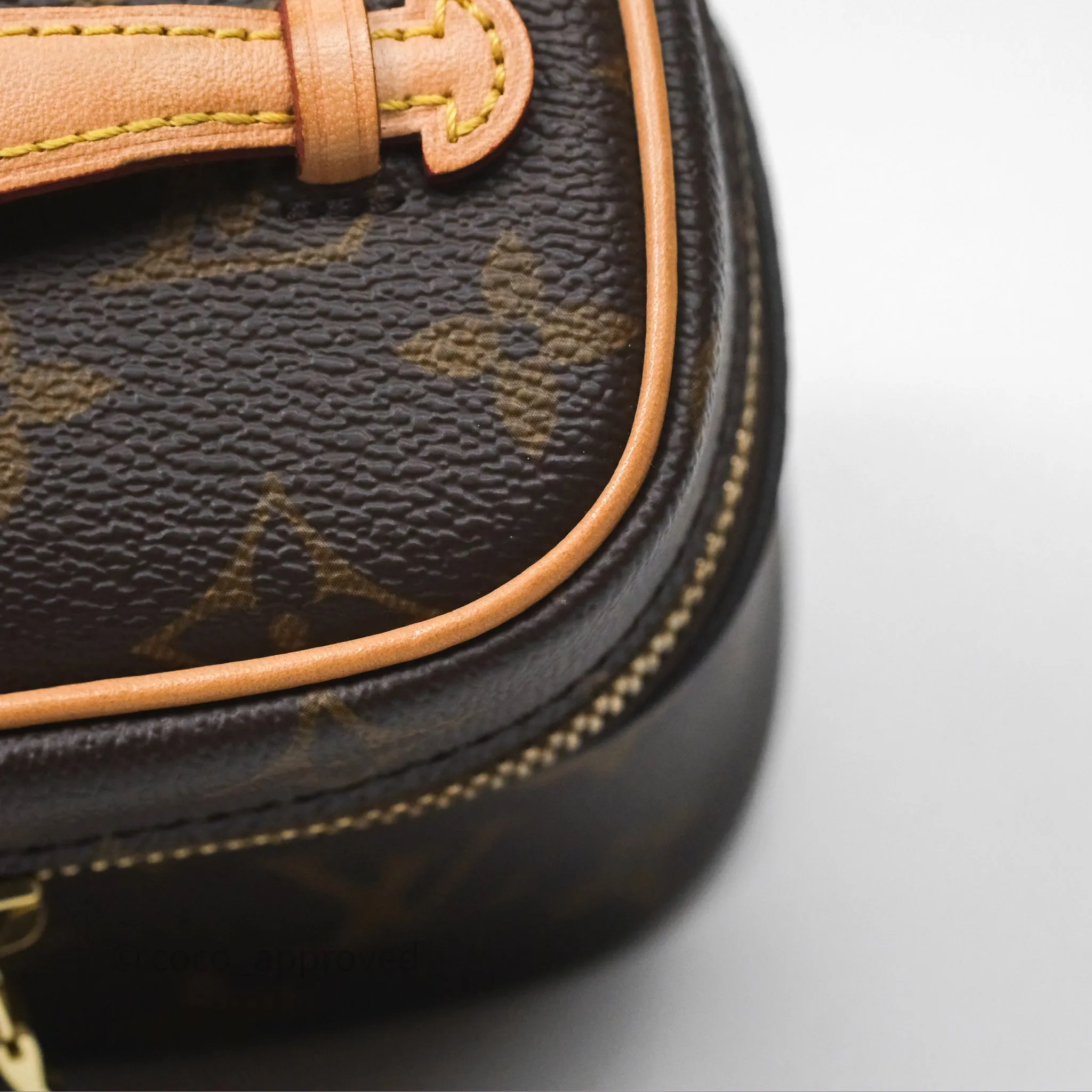 Louis Vuitton Monogram Nice Nano