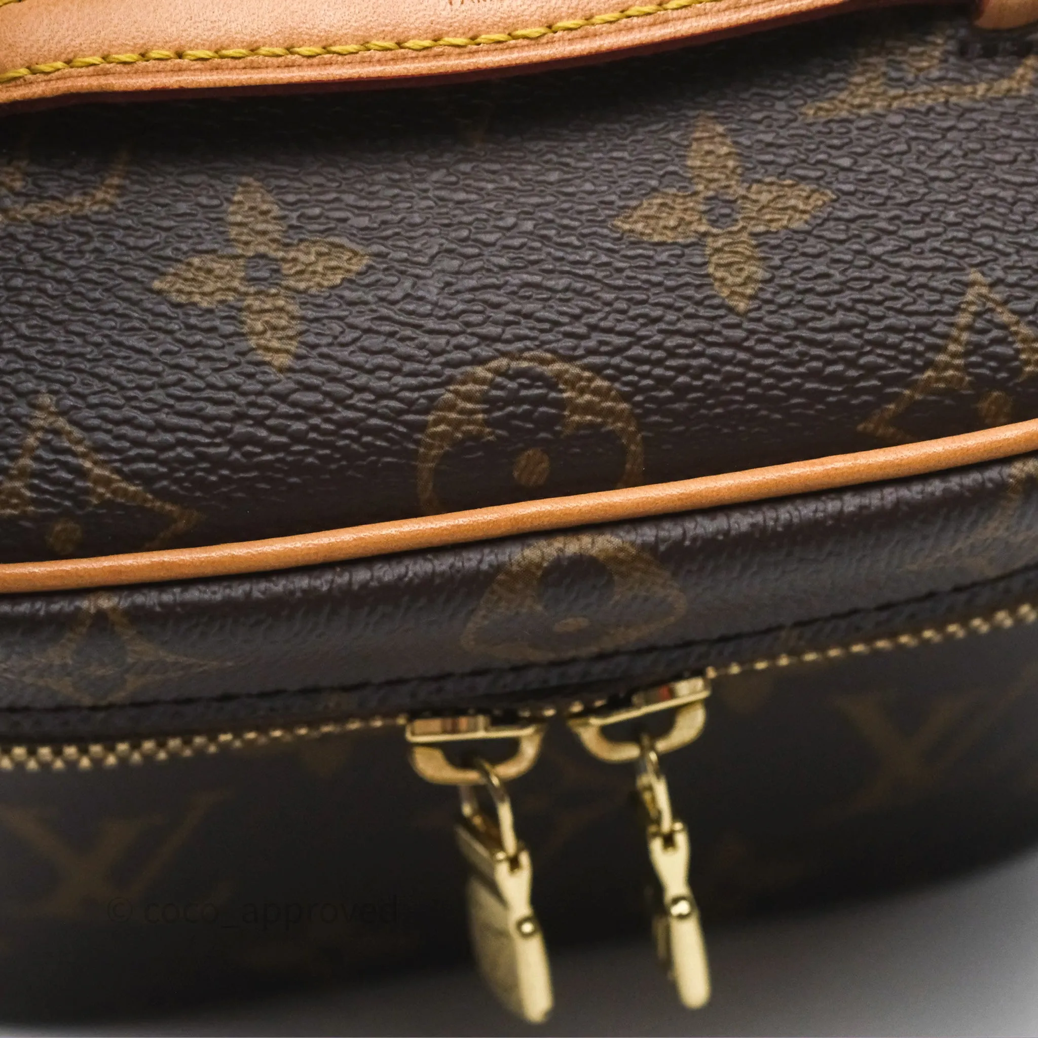 Louis Vuitton Monogram Nice Nano