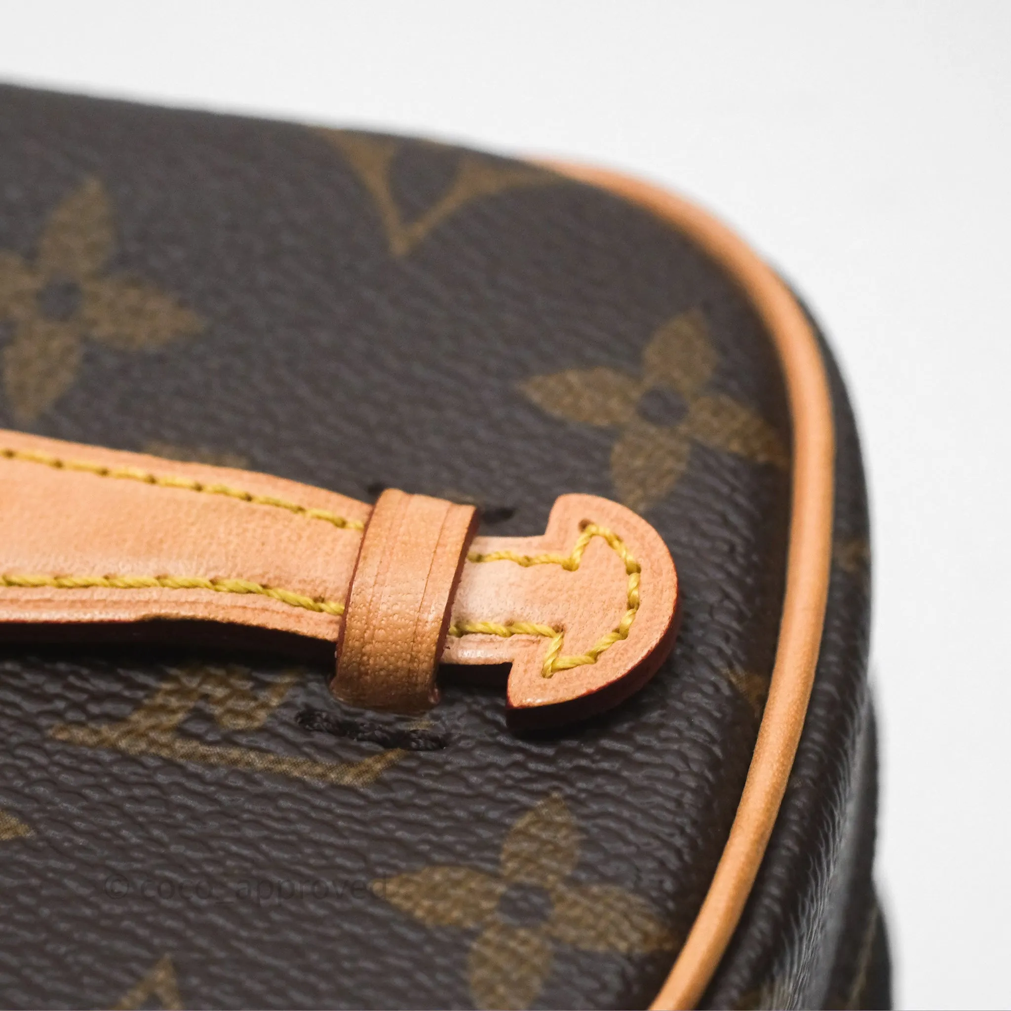 Louis Vuitton Monogram Nice Nano
