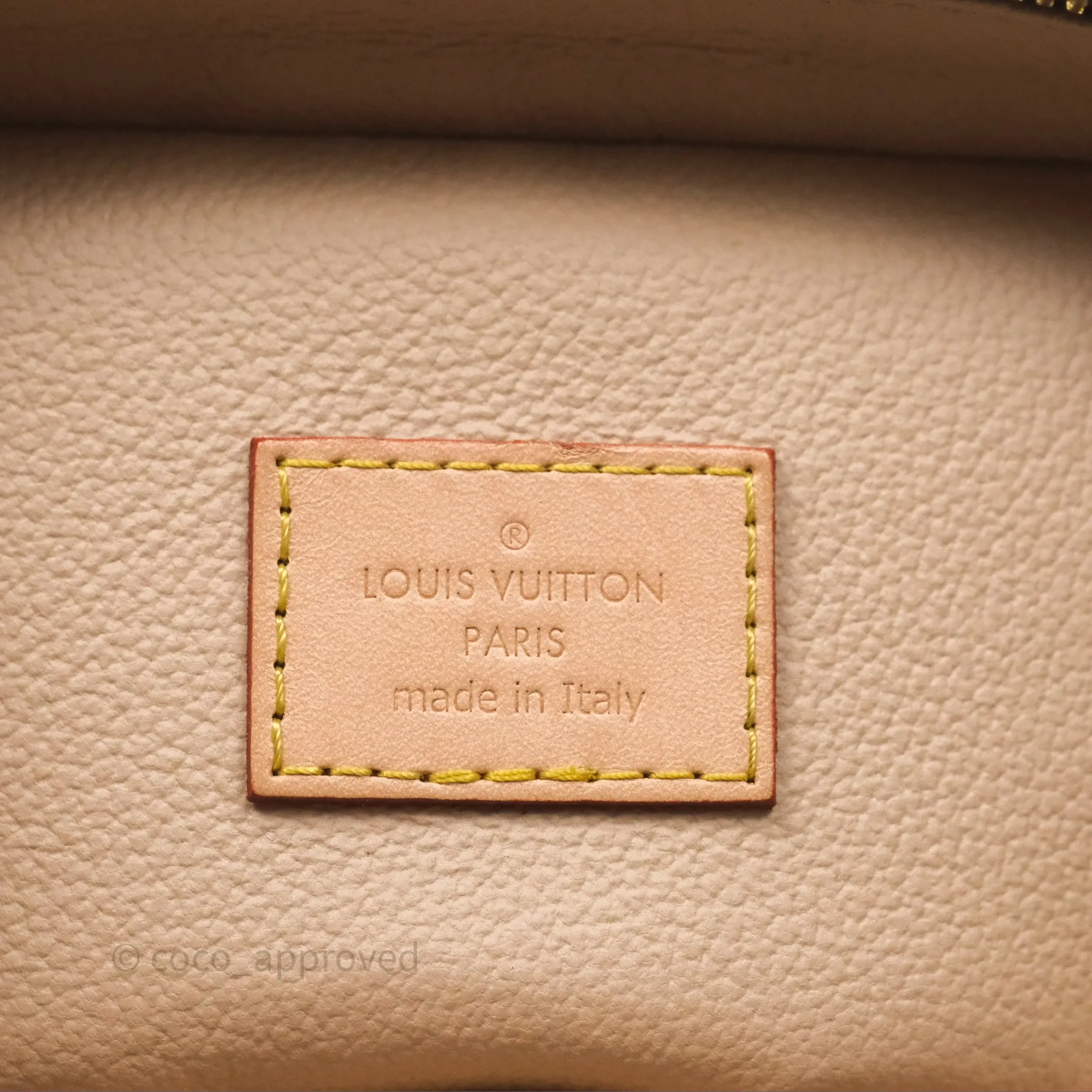 Louis Vuitton Monogram Nice Nano