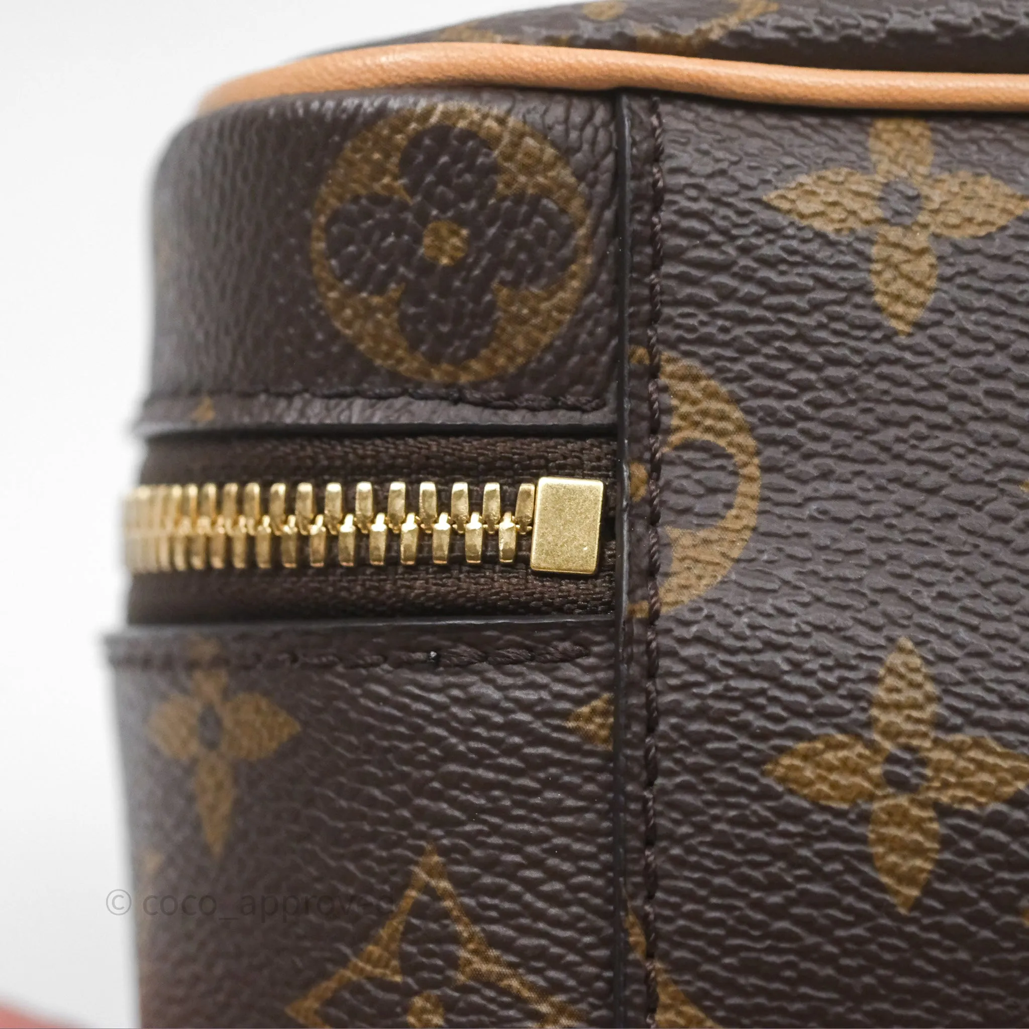 Louis Vuitton Monogram Nice Nano