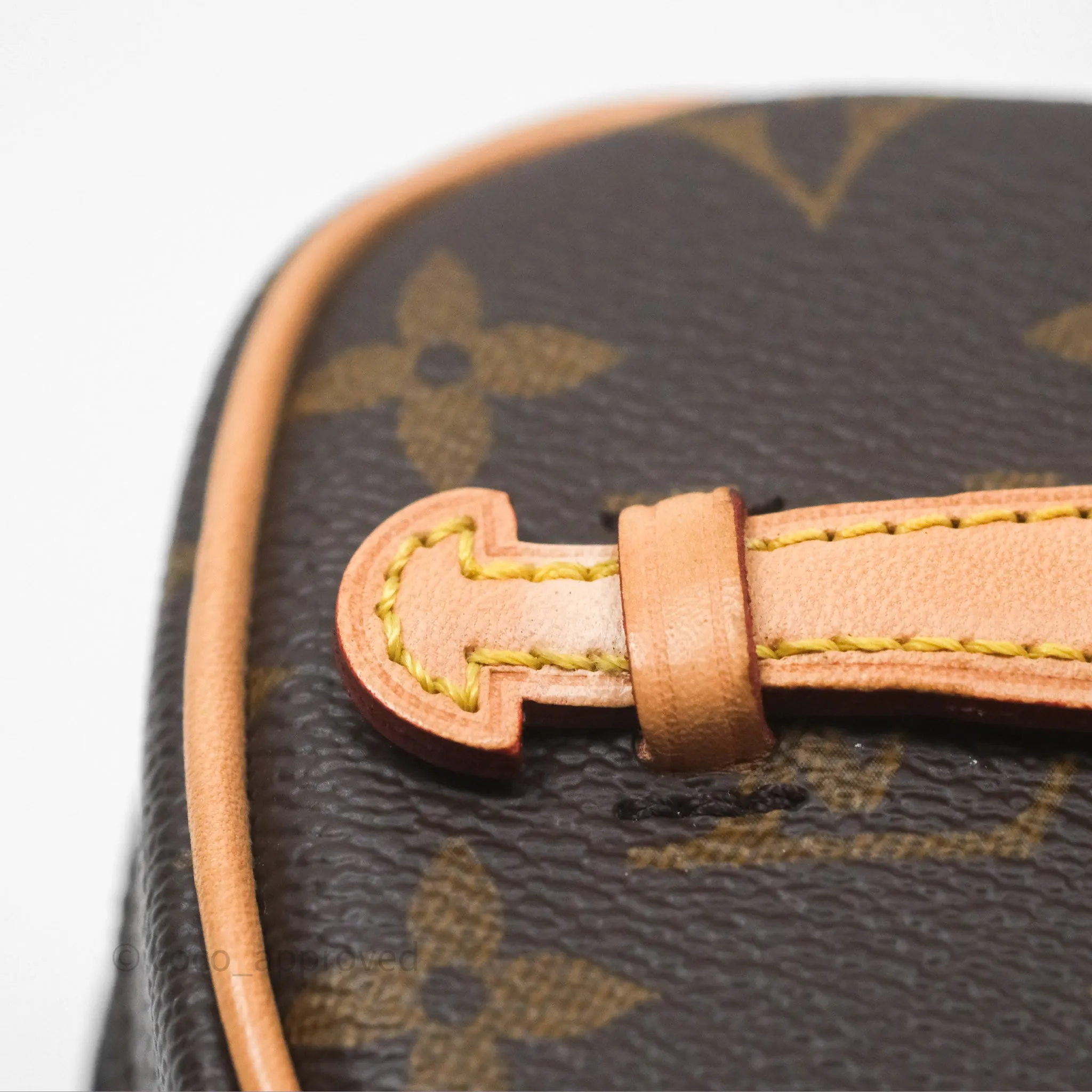 Louis Vuitton Monogram Nice Nano