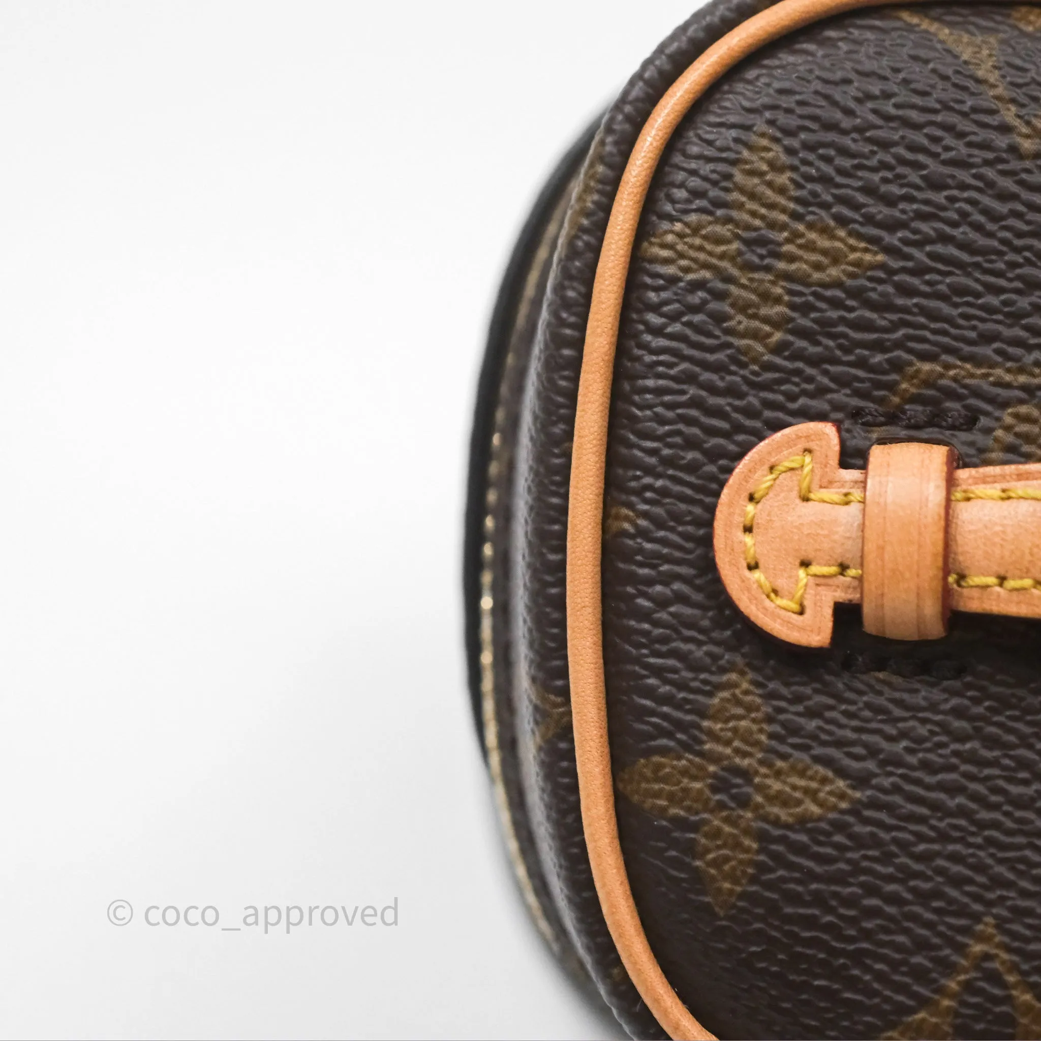 Louis Vuitton Monogram Nice Nano