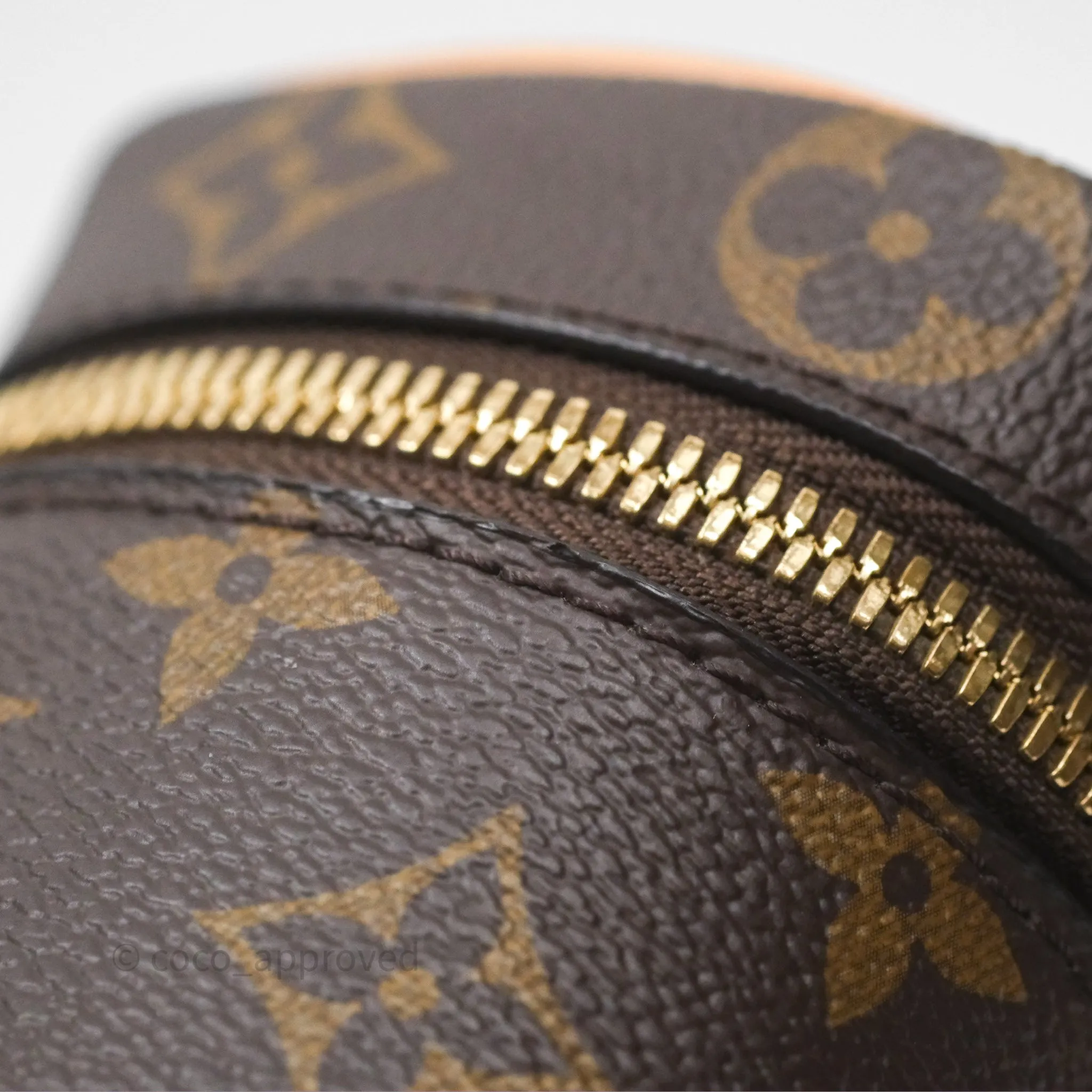 Louis Vuitton Monogram Nice Nano