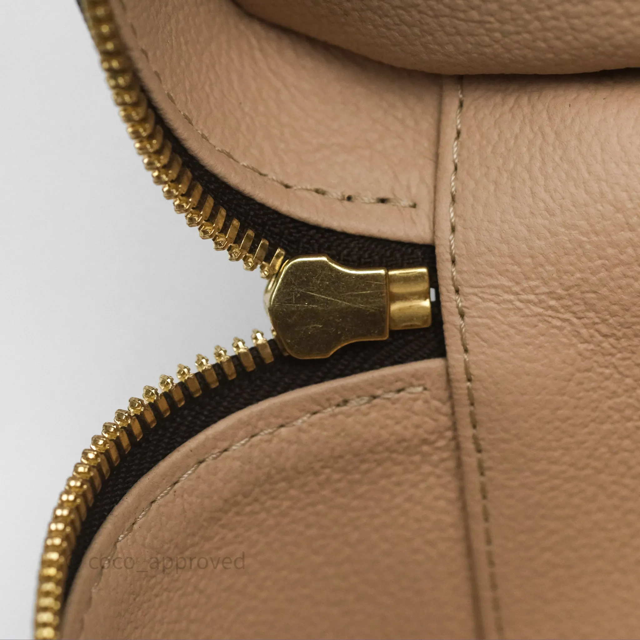 Louis Vuitton Monogram Nice Nano