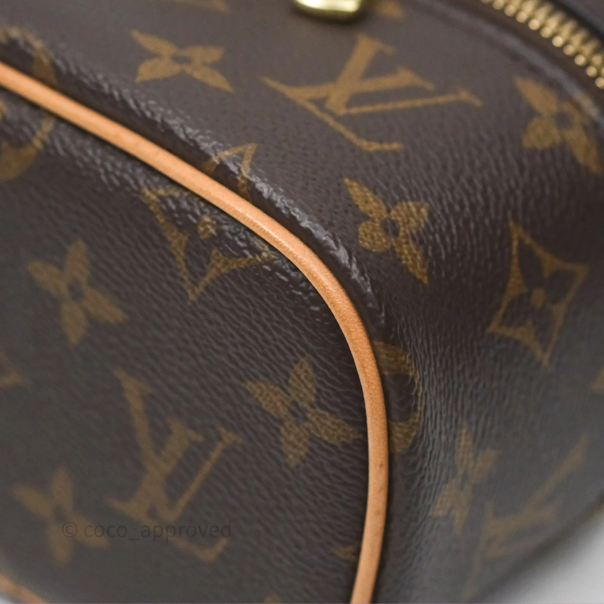 Louis Vuitton Monogram Nice Nano