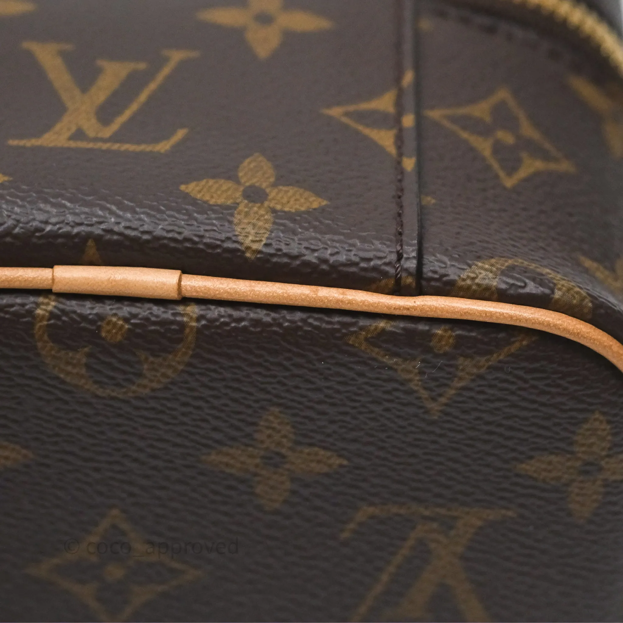 Louis Vuitton Monogram Nice Nano