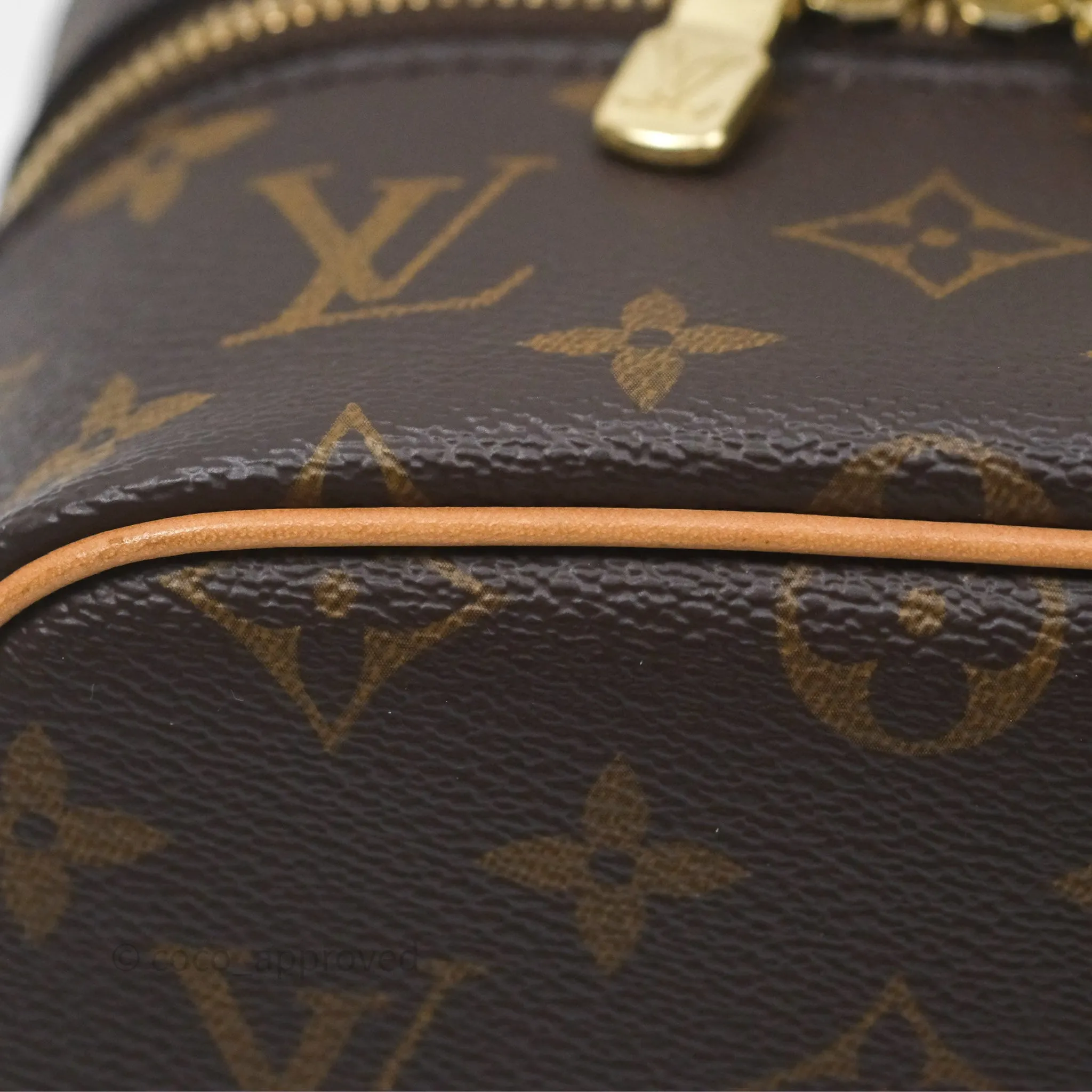 Louis Vuitton Monogram Nice Nano