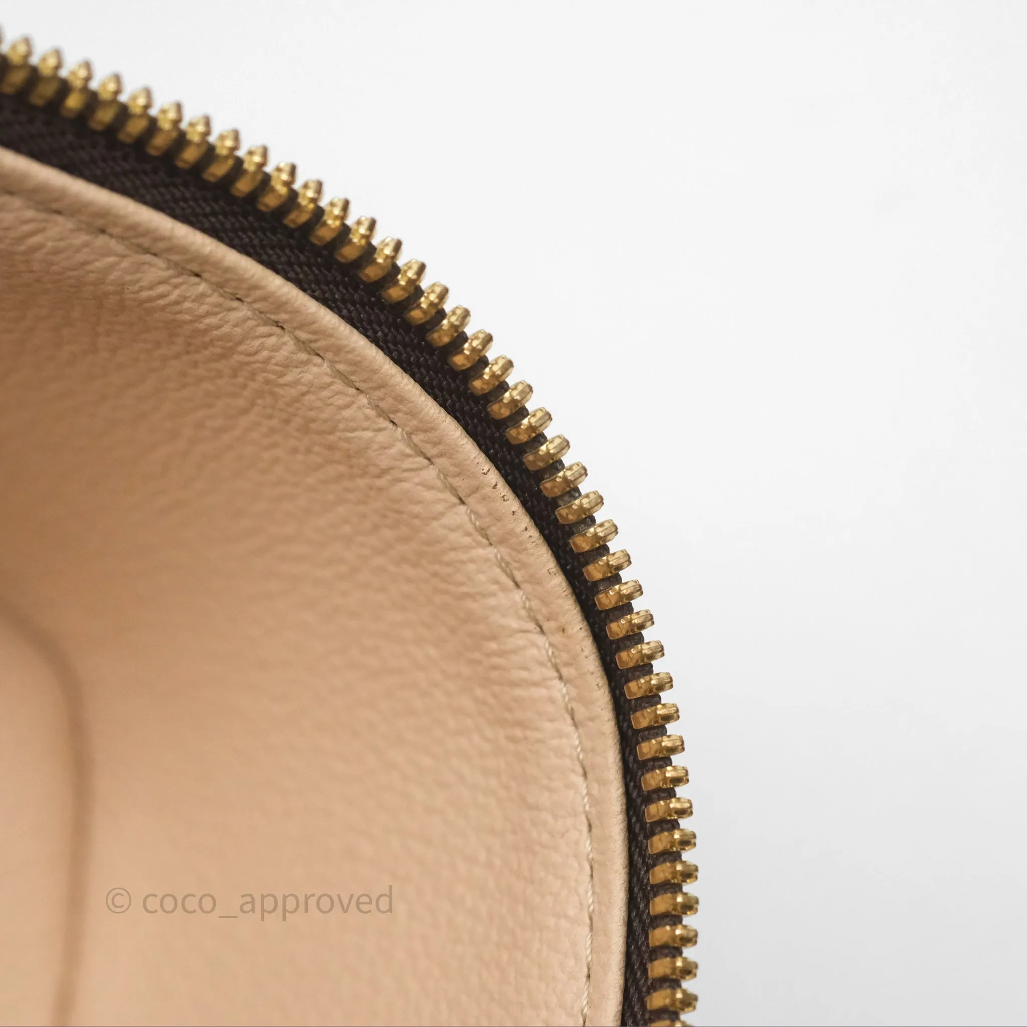 Louis Vuitton Monogram Nice Nano