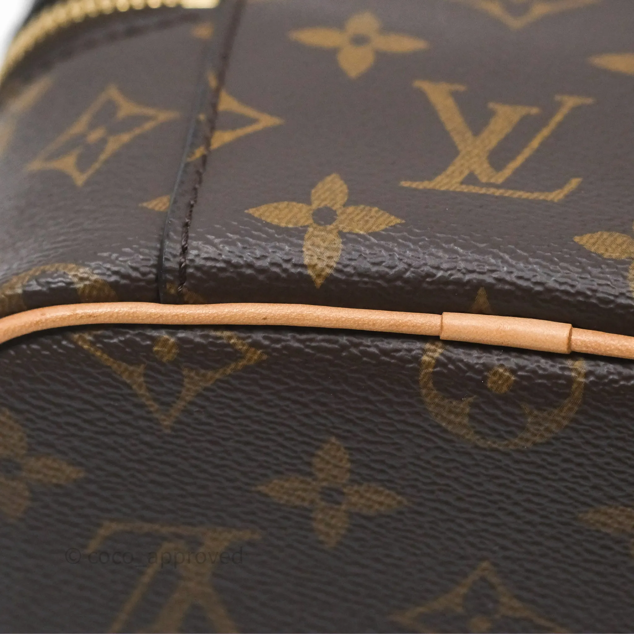Louis Vuitton Monogram Nice Nano